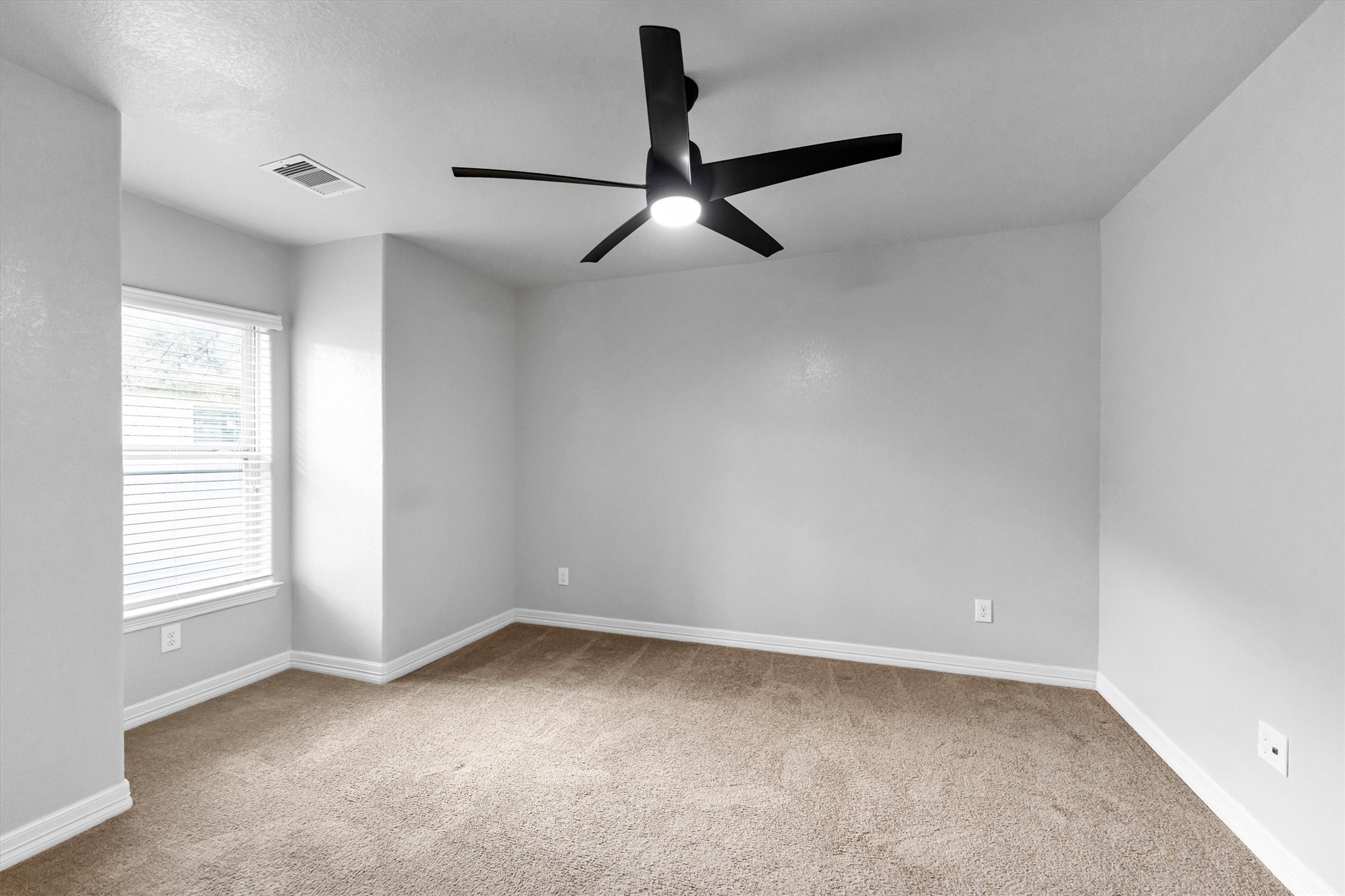 255 New Harmony Trail Property Photo 11