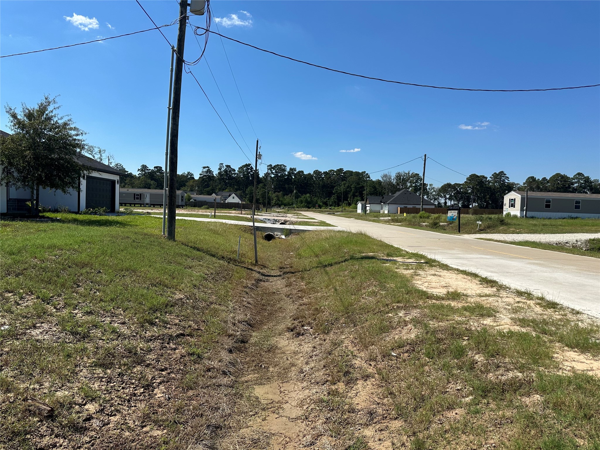 1025 Exotic Pine Street Property Photo 3