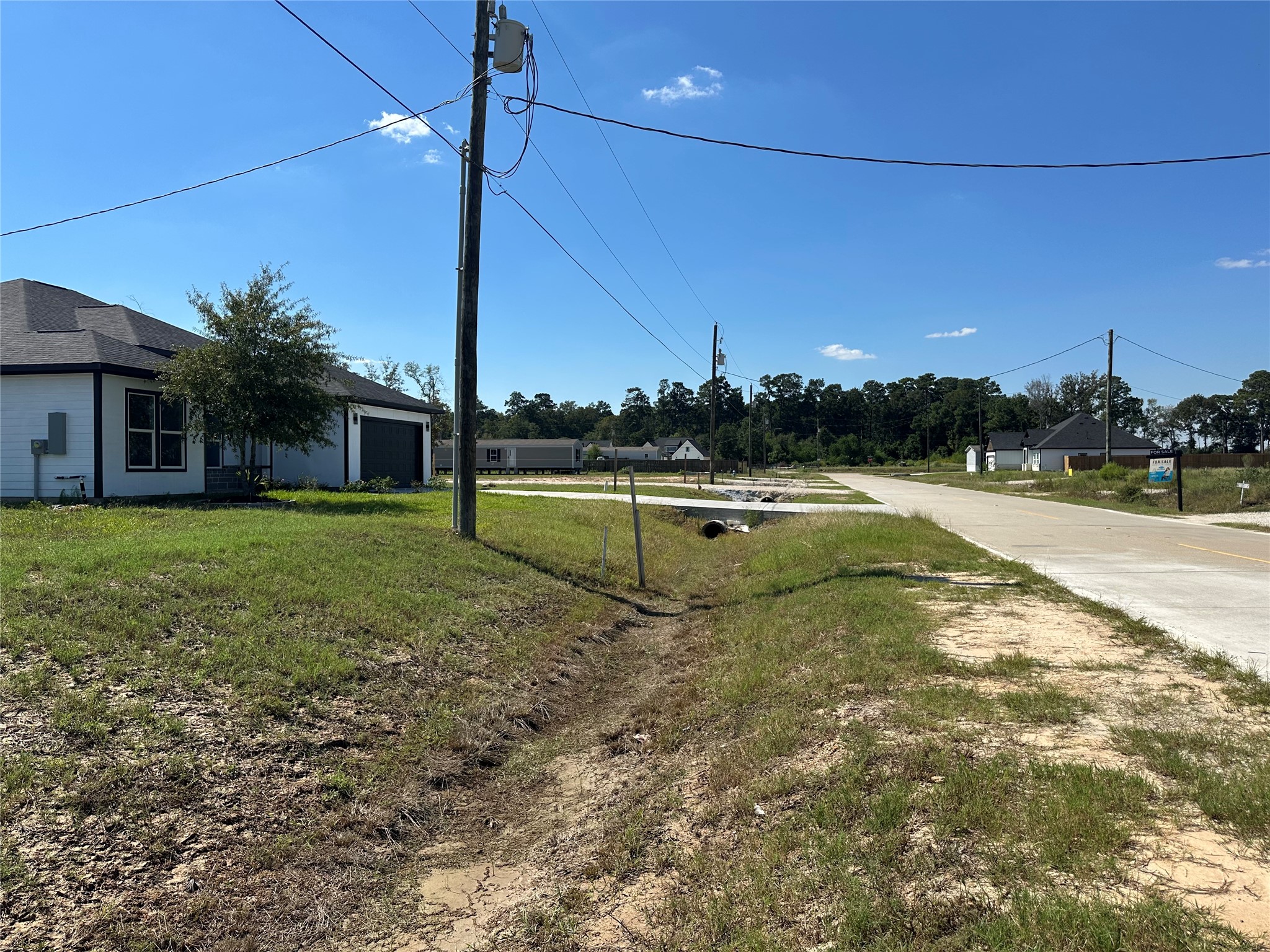 1025 Exotic Pine Street Property Photo 4