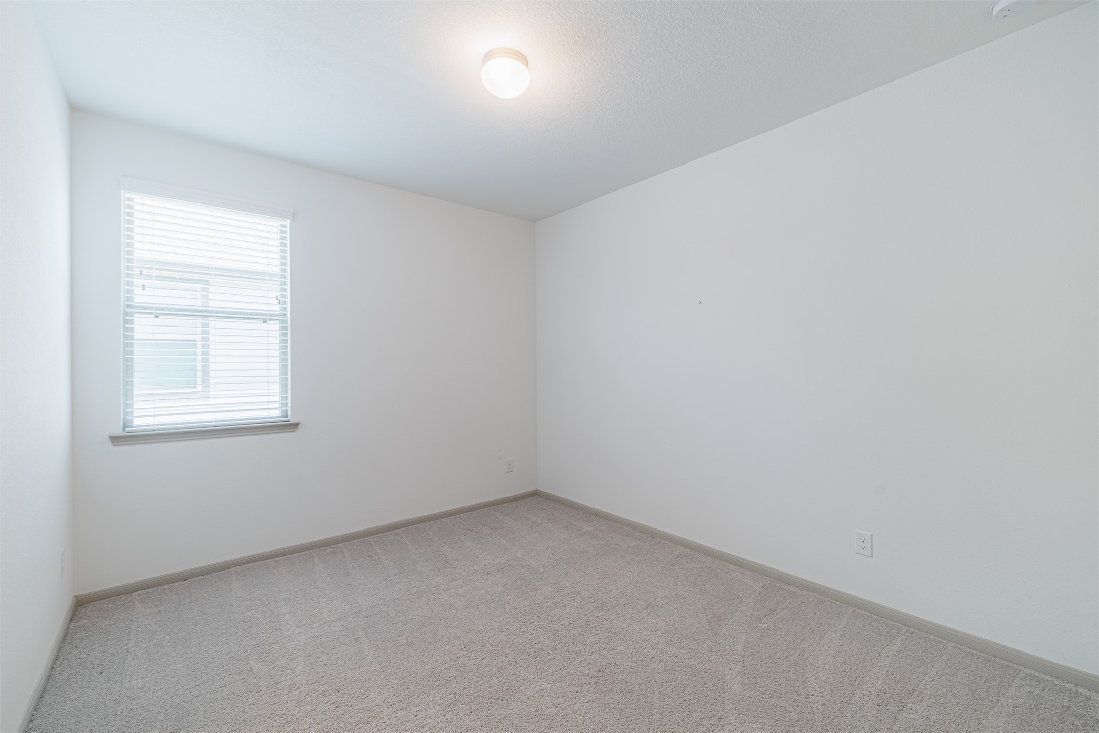 3306 Willow Fin Way Property Photo 37