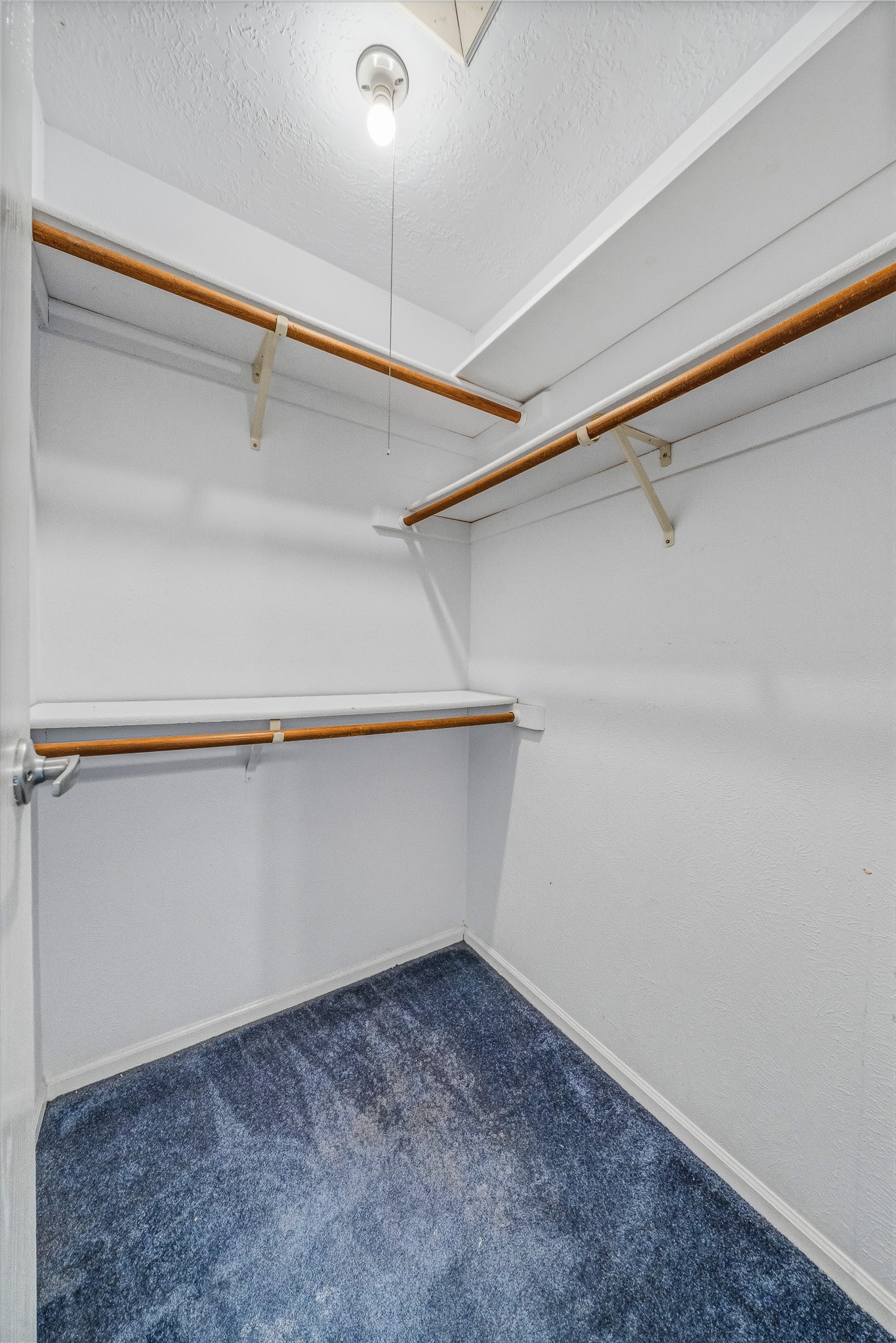8306 Pine Falls Drive Property Photo 28