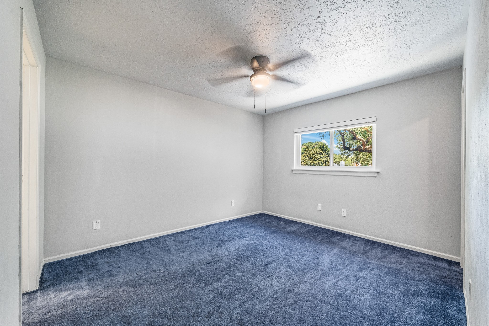 8306 Pine Falls Drive Property Photo 29