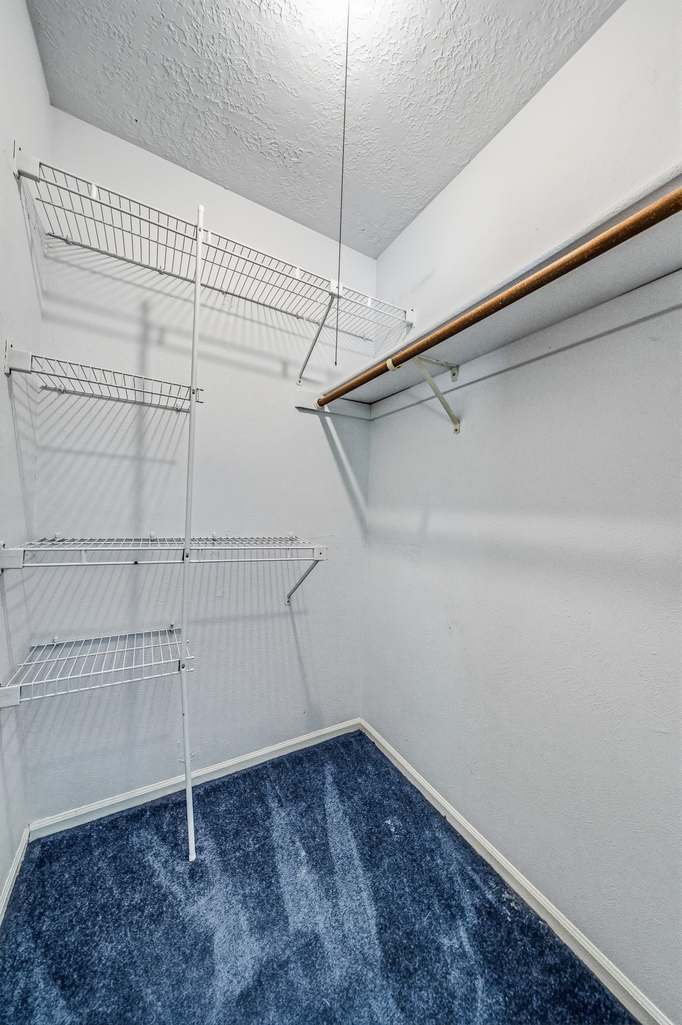 8306 Pine Falls Drive Property Photo 31