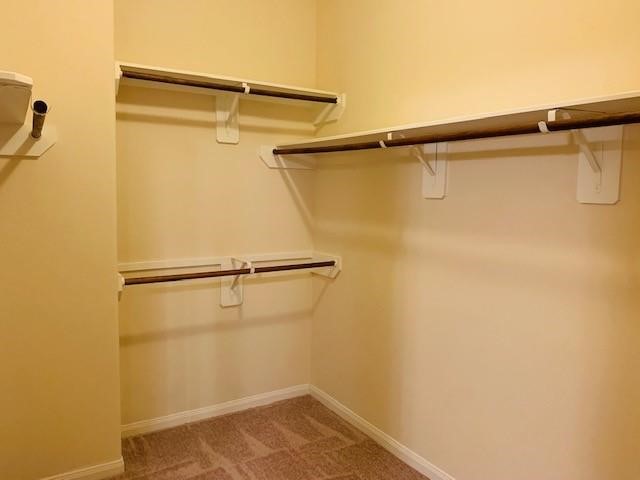 2319 Bermuda Palms Drive Property Photo 11