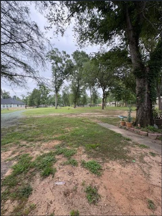 26745 F M 2090 Road Property Photo 17