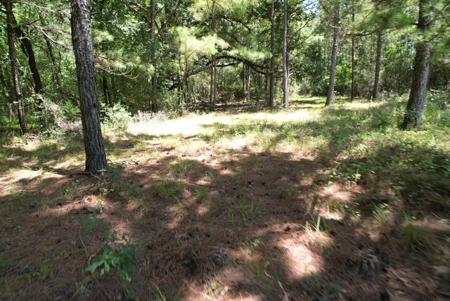 0000 Jones Road Property Photo