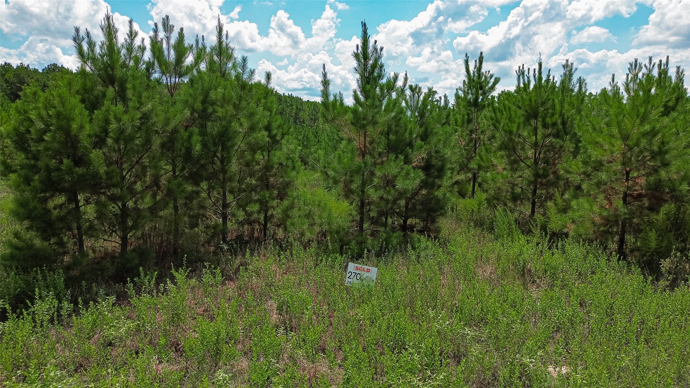 0 Cherokee Trail Trail Property Photo 1