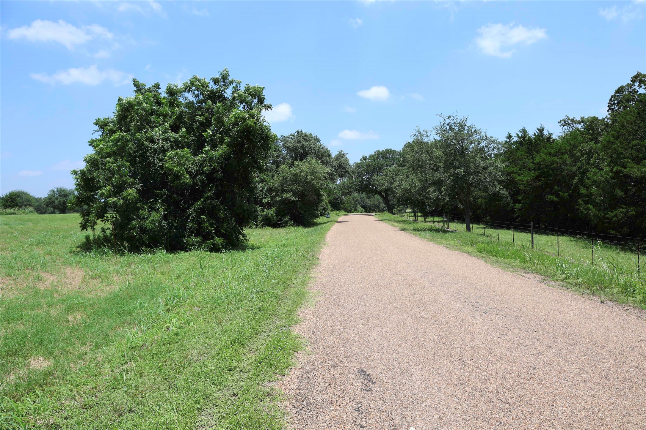 5109 Hranicky Road Property Photo 21