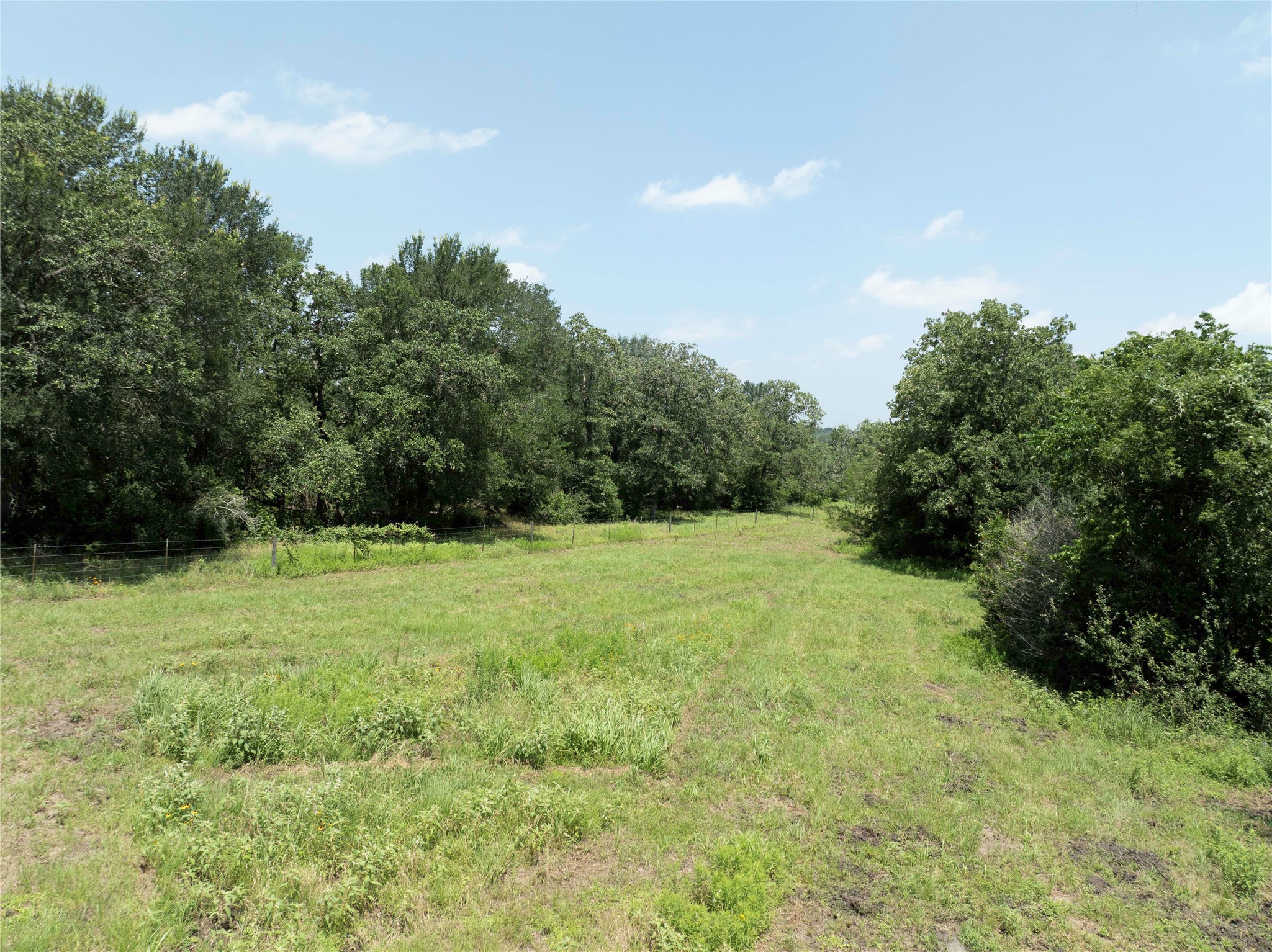 5109 Hranicky Road Property Photo 22