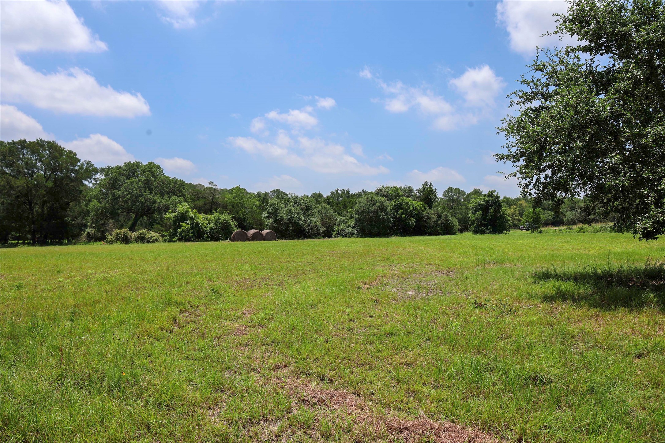 5109 Hranicky Road Property Photo 25