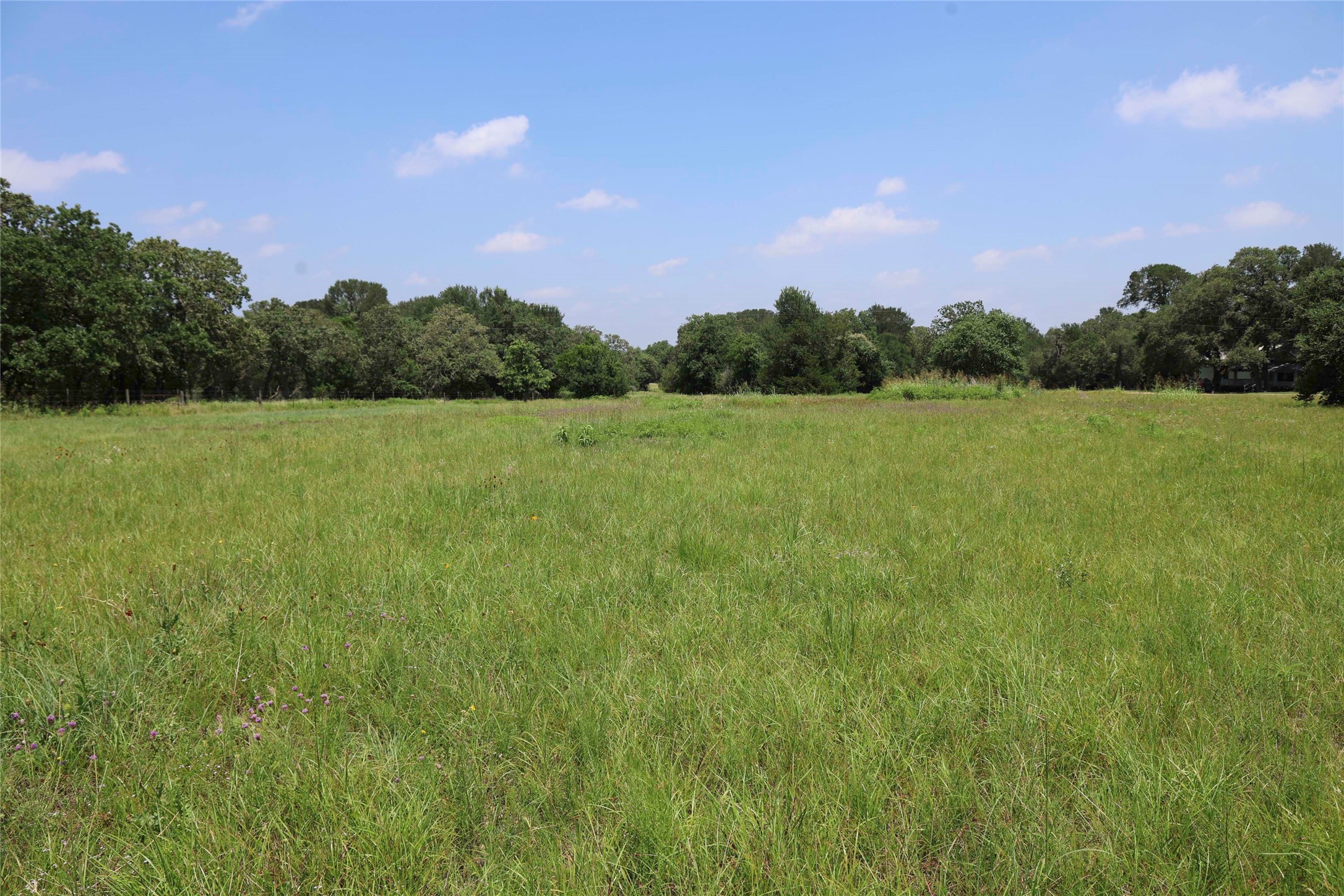 5109 Hranicky Road Property Photo 26