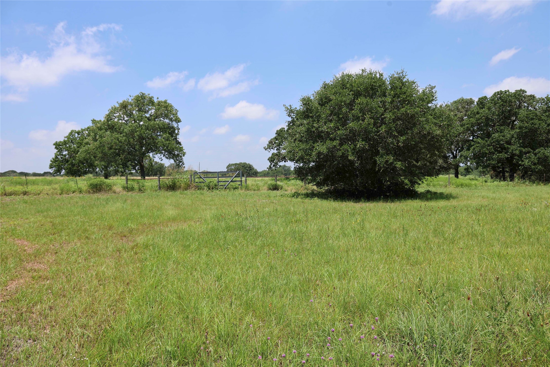 5109 Hranicky Road Property Photo 27