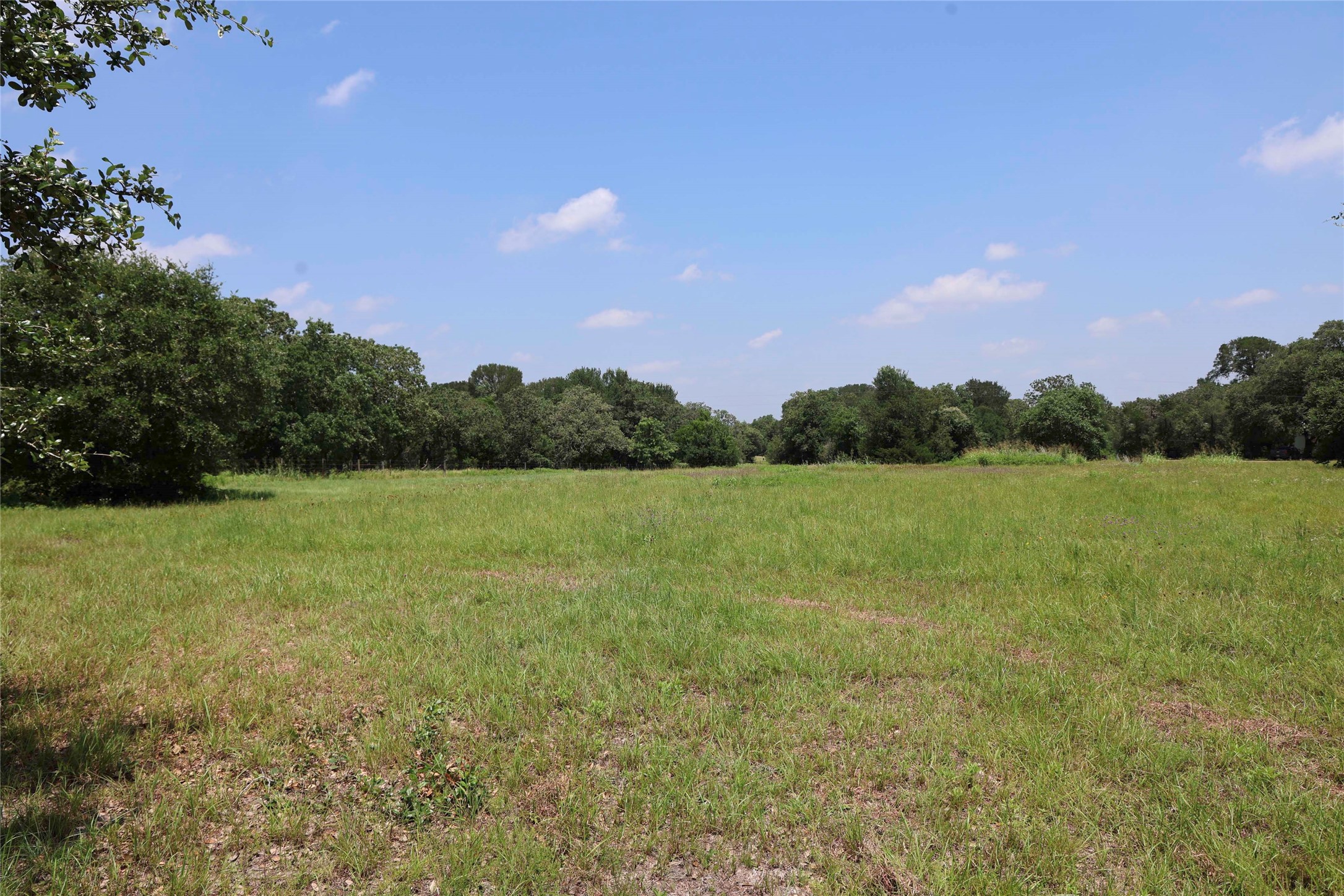 5109 Hranicky Road Property Photo 28