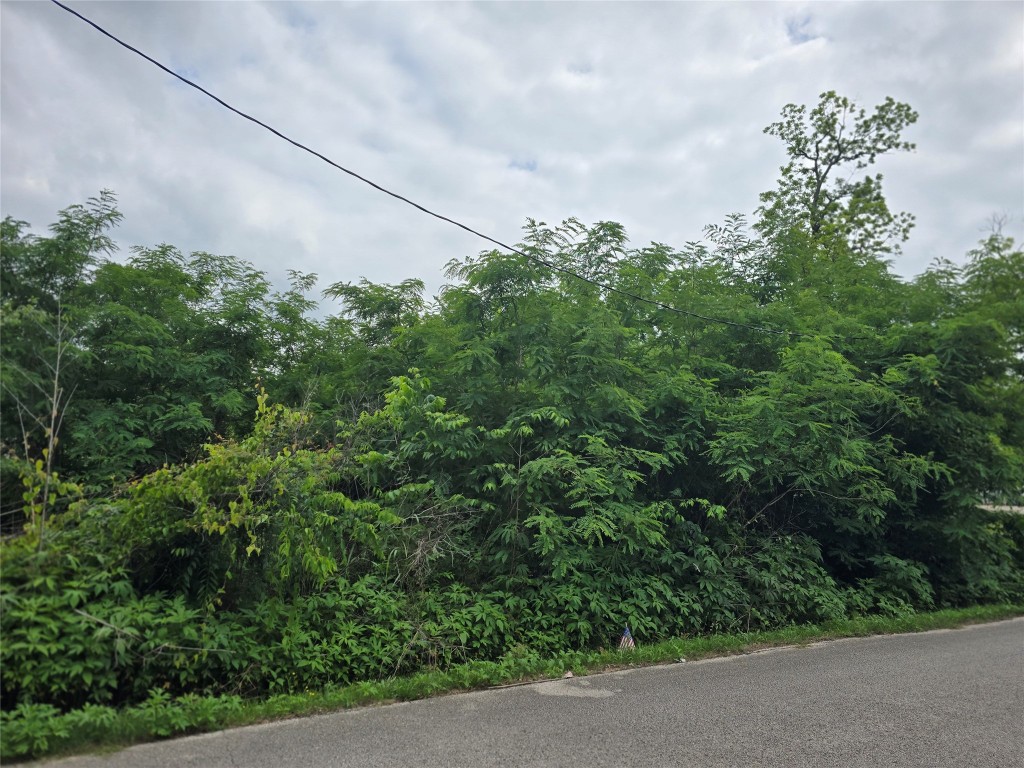 0 Ave F Tbd Property Photo 1