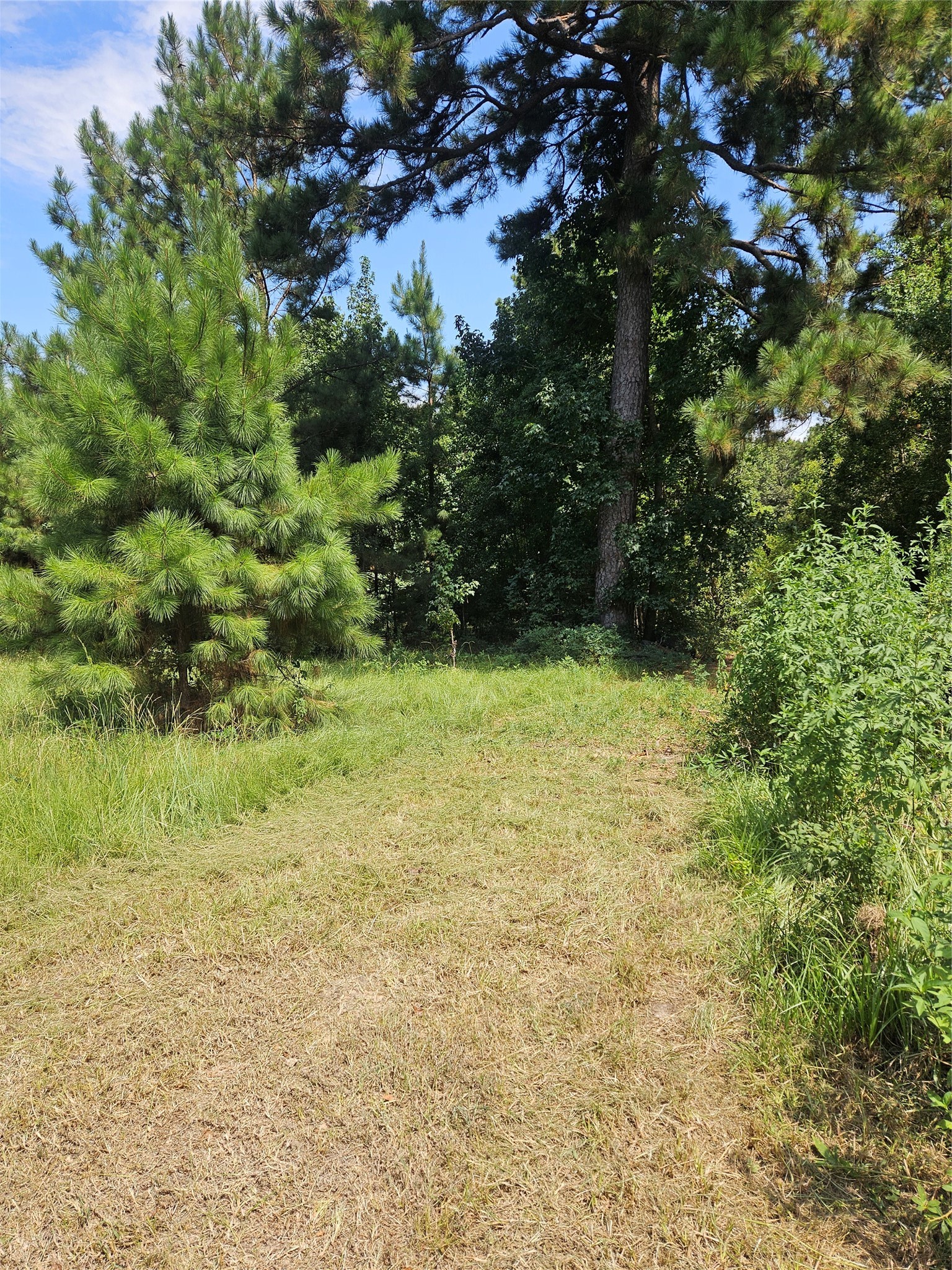 207 County Road 2210 Property Photo 1