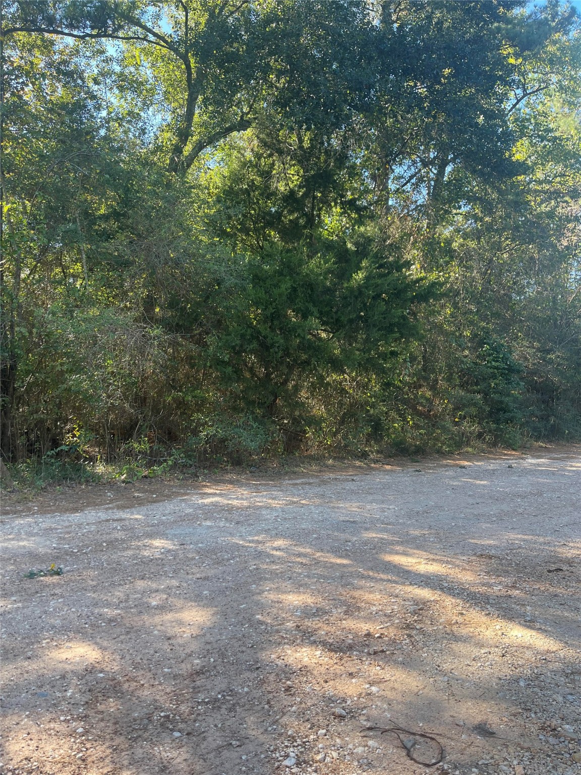 0 Le Conte ln Lane Property Photo 1