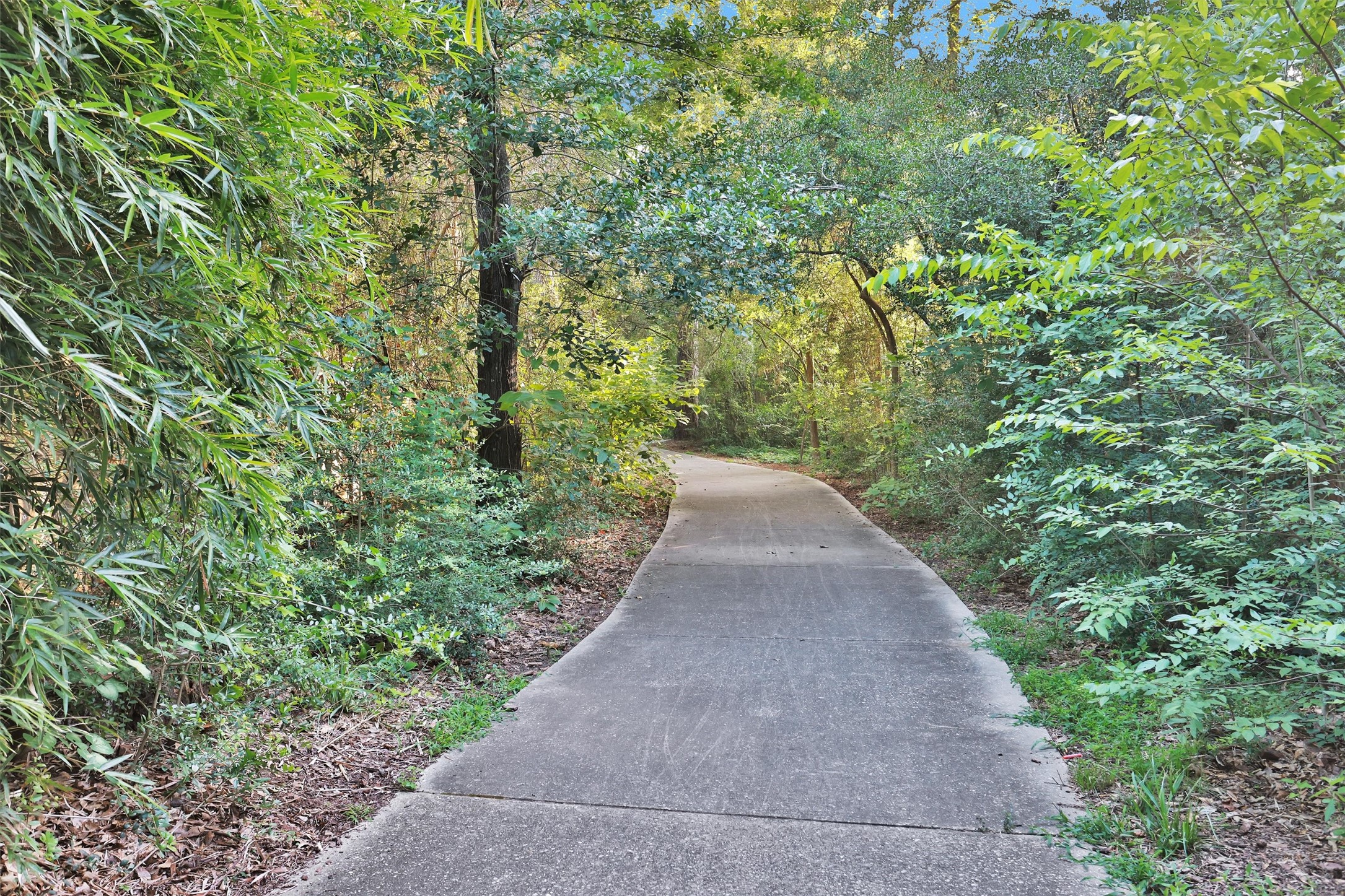 34 E Copper Sage Circle Property Photo 44