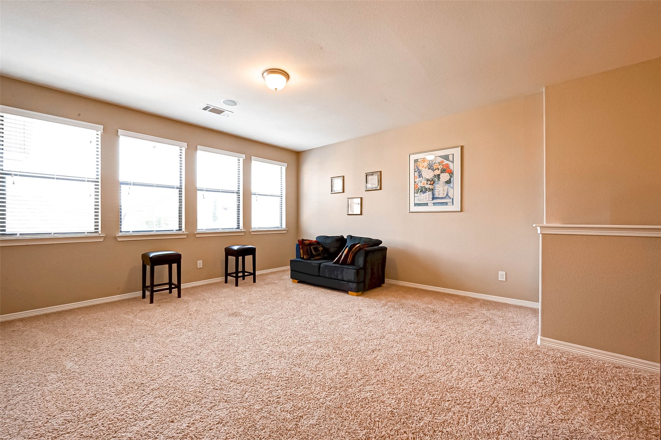 4311 Madera Creek Lane Property Photo 44