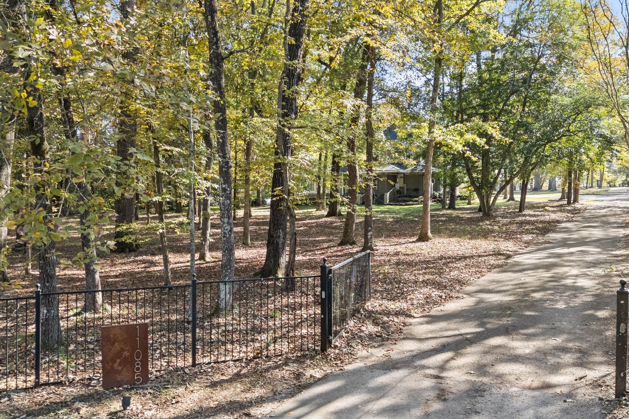 11085 Jake Pearson Road Property Photo 4