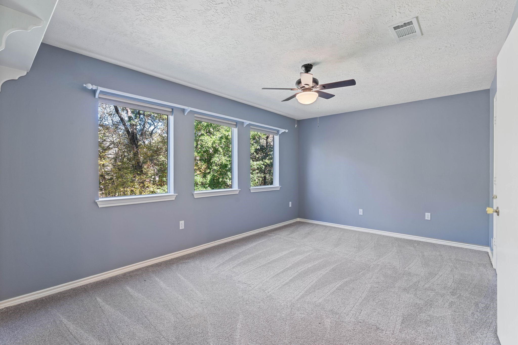 11085 Jake Pearson Road Property Photo 38