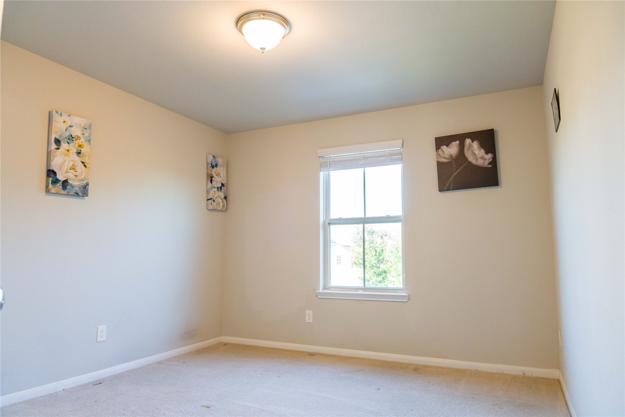 5915 Summer Holly Lane Property Photo 30
