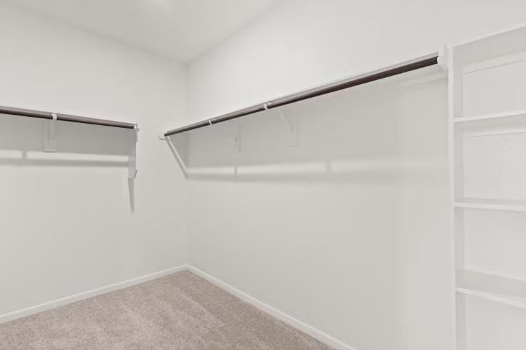 30530 Aberlour Lane Property Photo 10