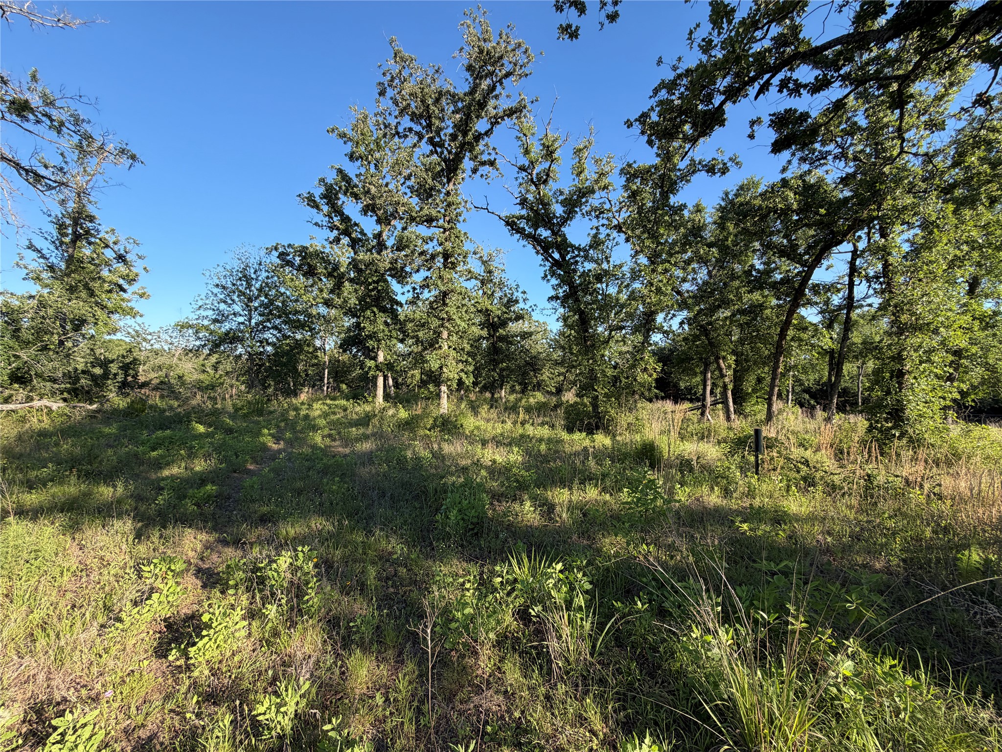 Lot 37 Cr 0389 Property Photo 6