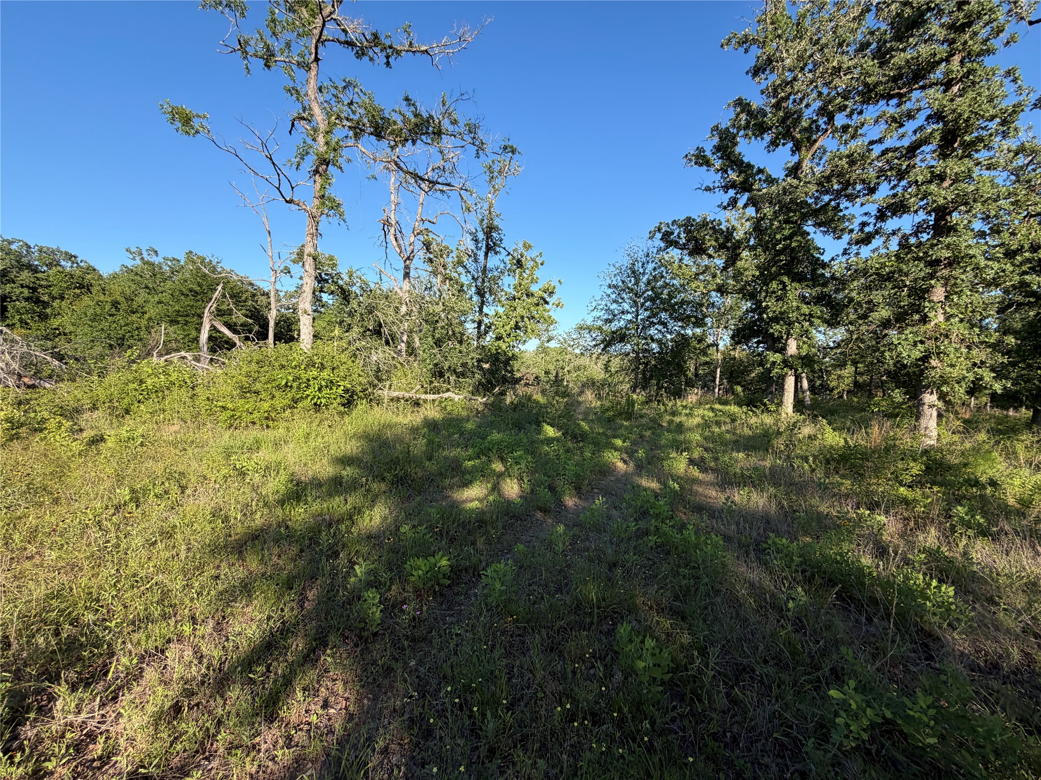 Lot 37 Cr 0389 Property Photo 7