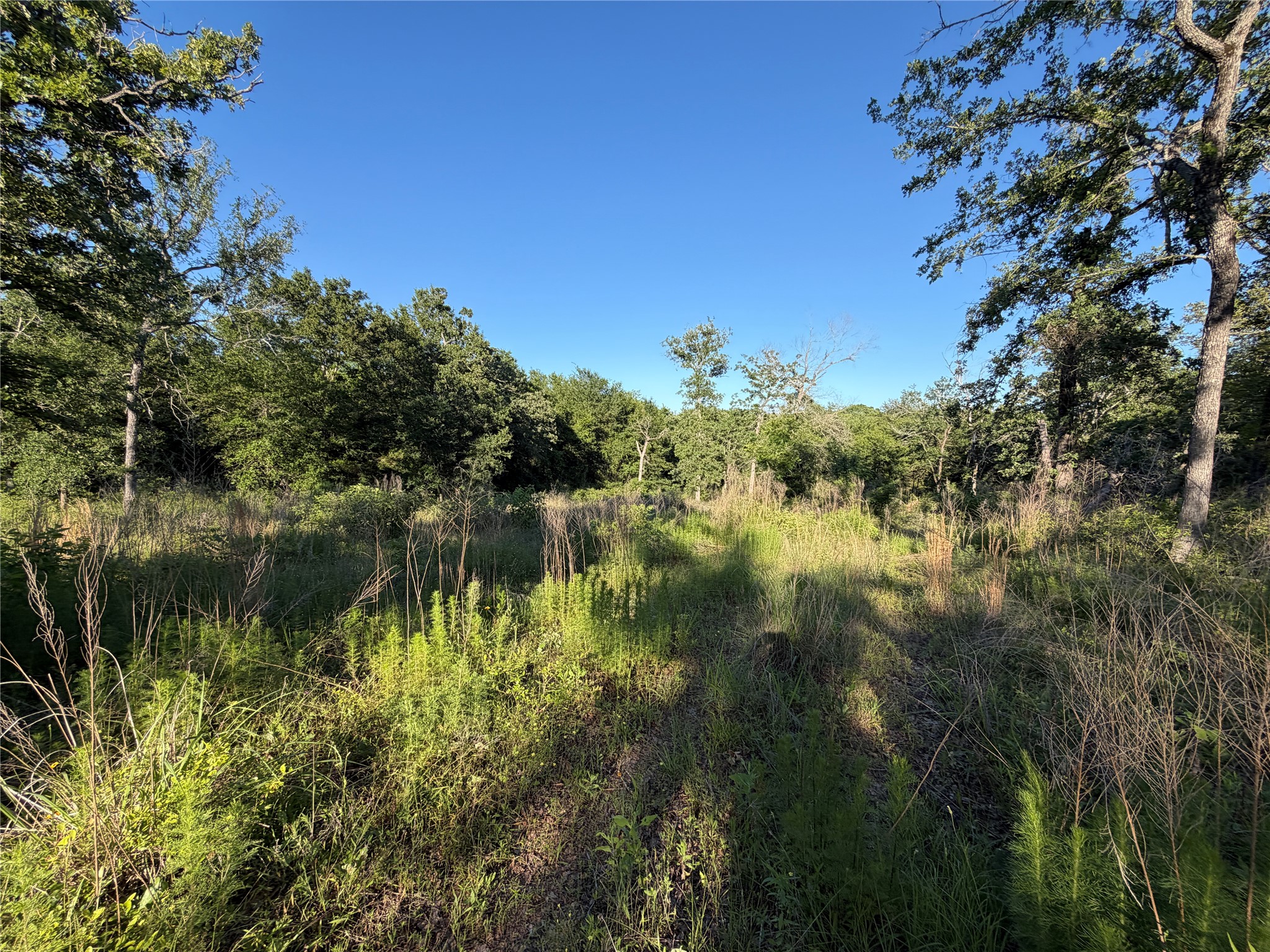 Lot 37 Cr 0389 Property Photo 8