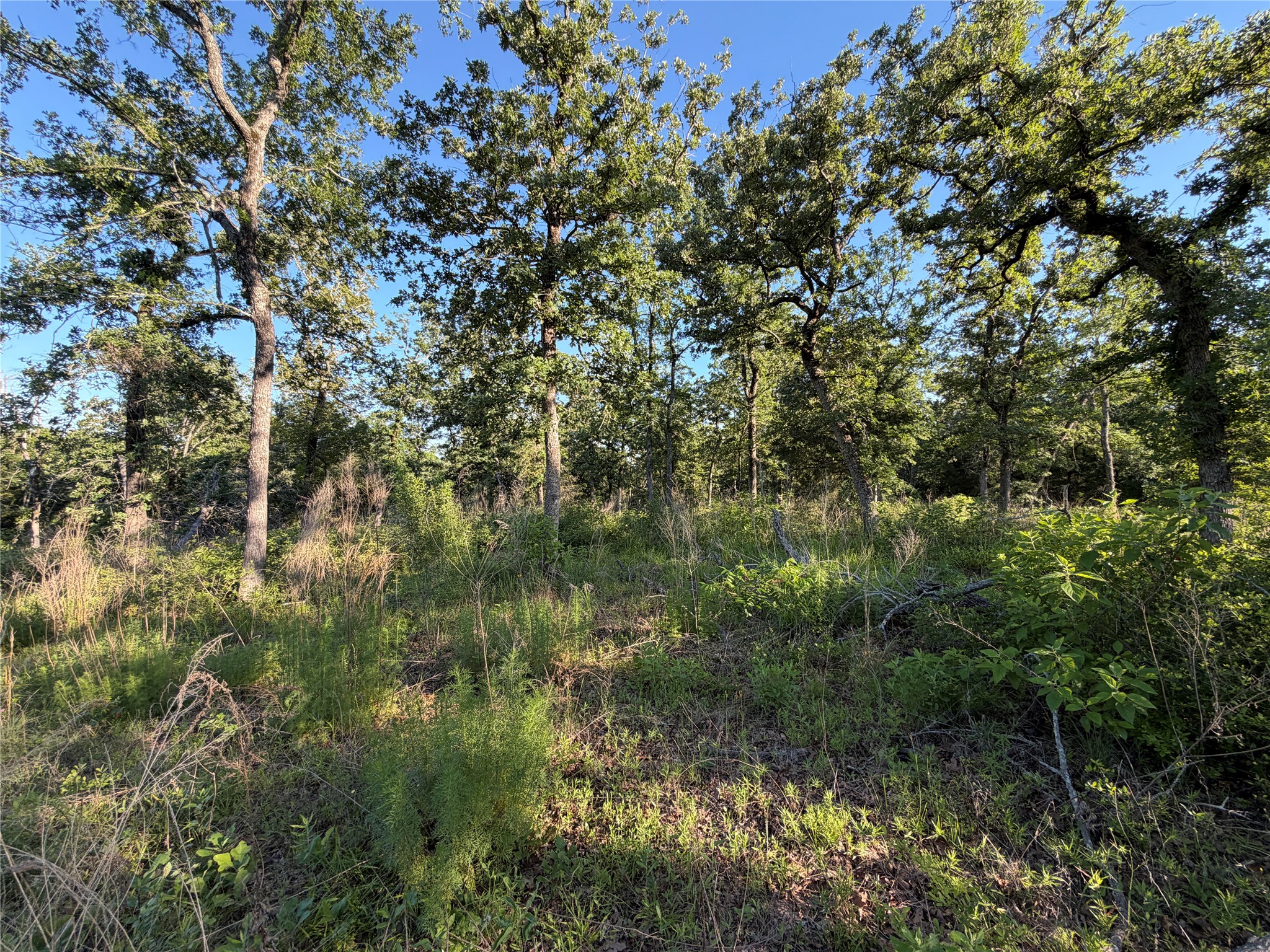 Lot 37 Cr 0389 Property Photo 9