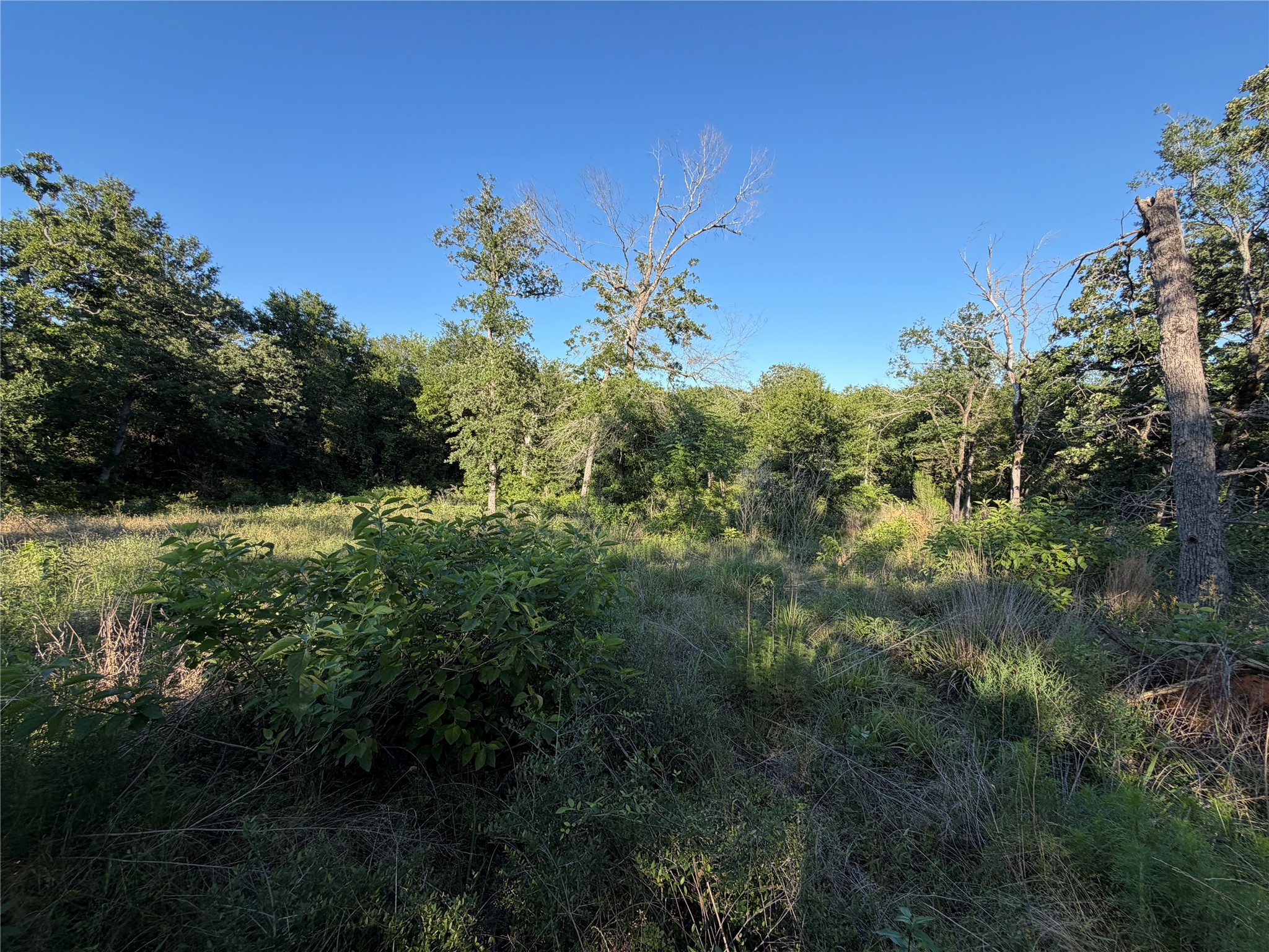 Lot 37 Cr 0389 Property Photo 10