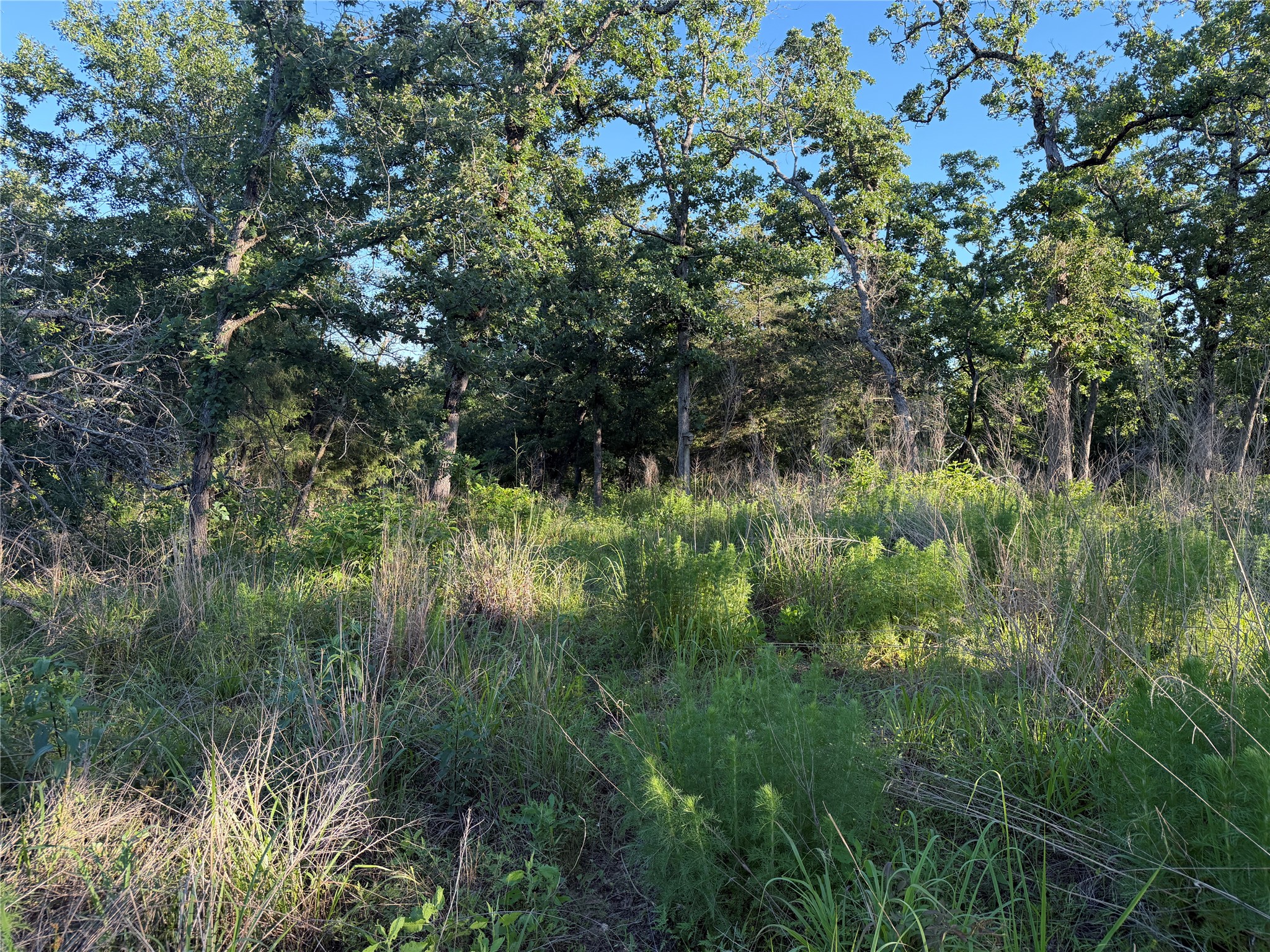Lot 37 Cr 0389 Property Photo 11