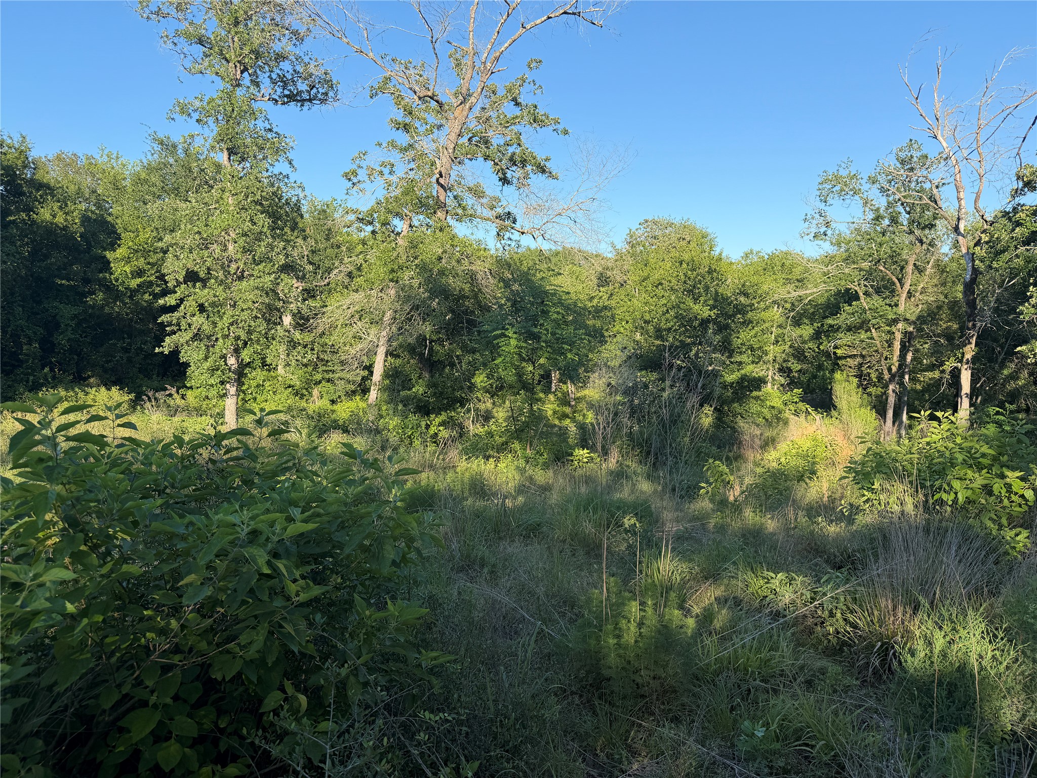 Lot 37 Cr 0389 Property Photo 12