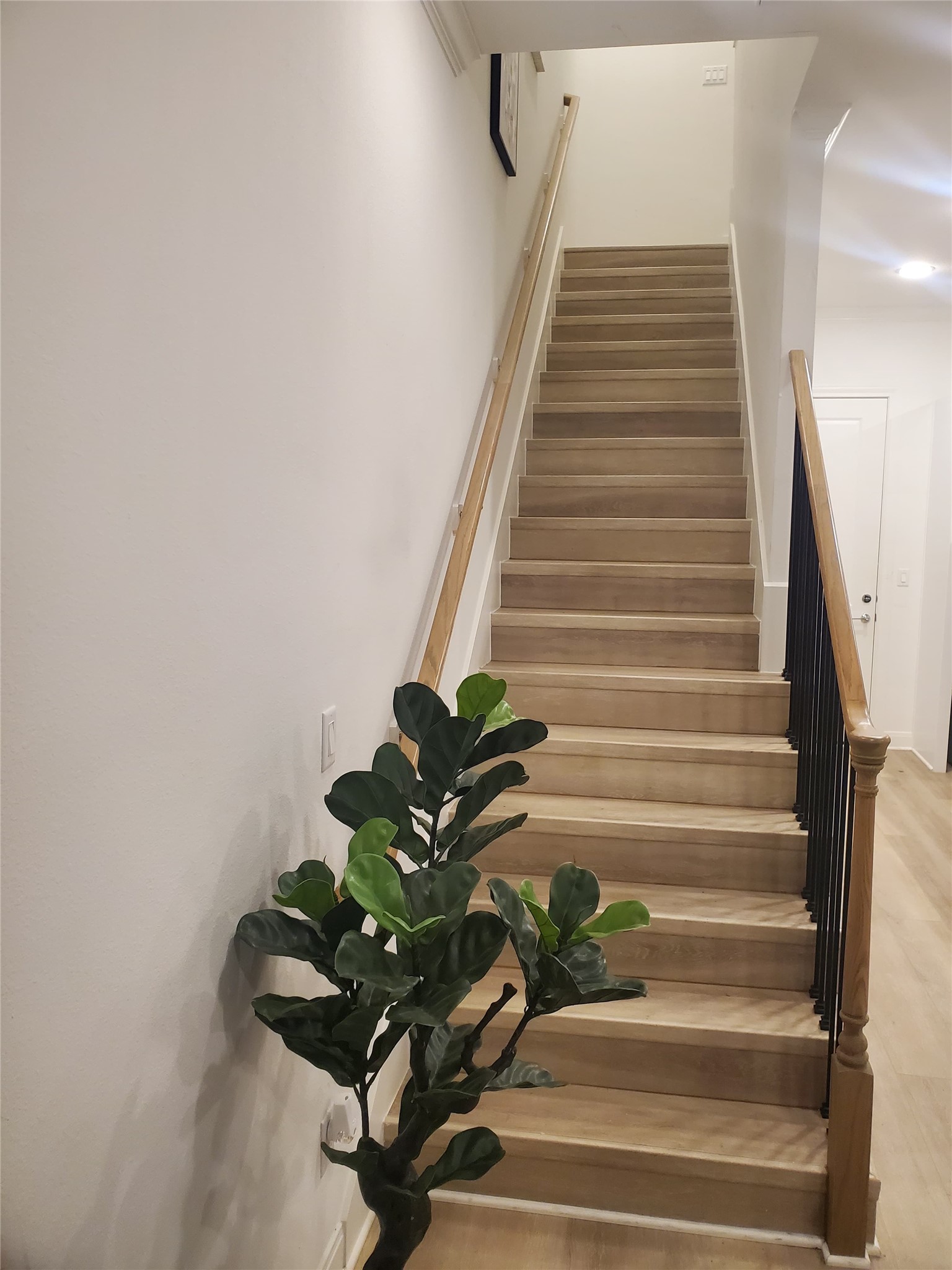 5113 Briscoe Street A/b Property Photo 8