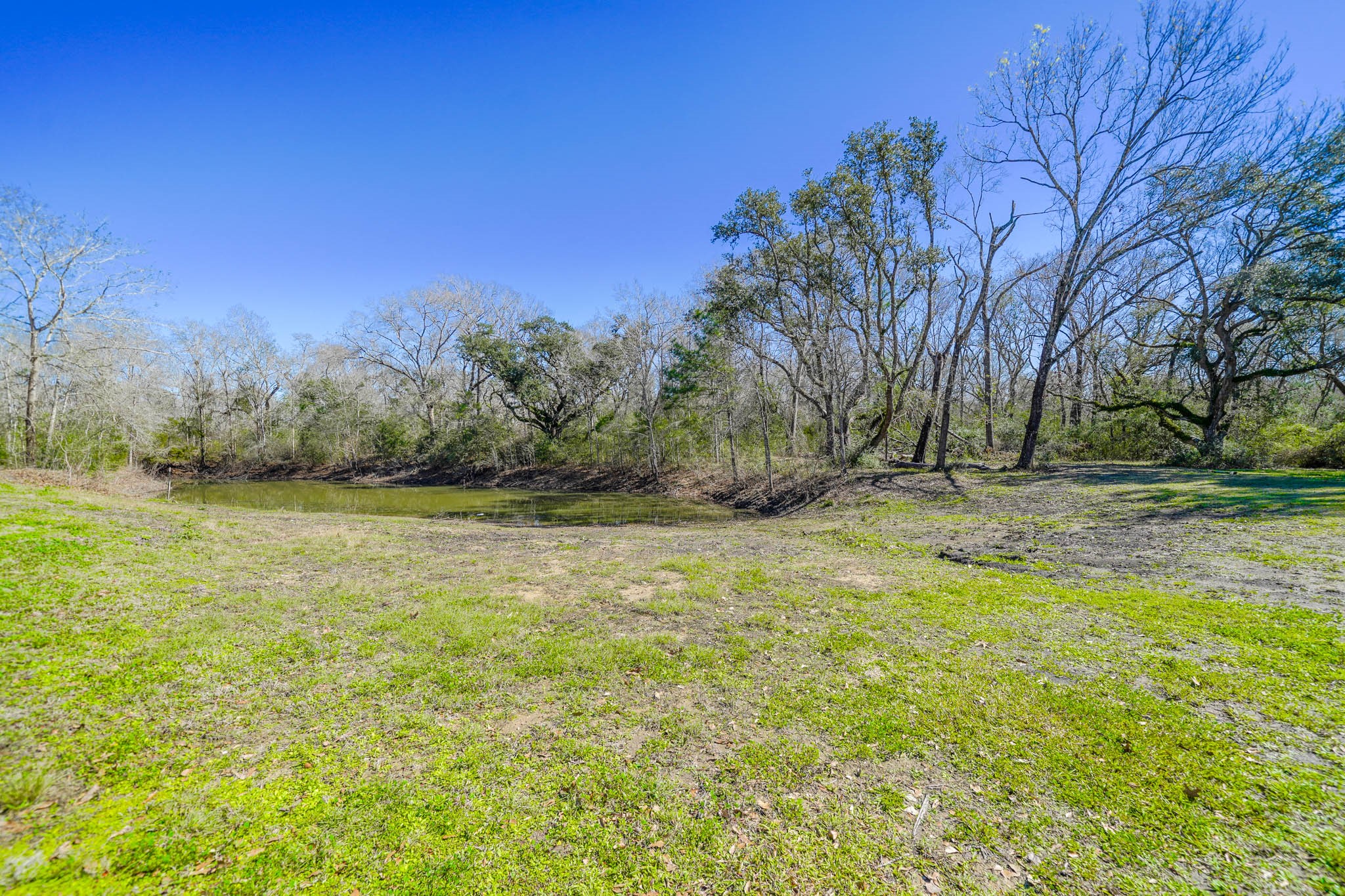 314 County Road 904 Property Photo 14