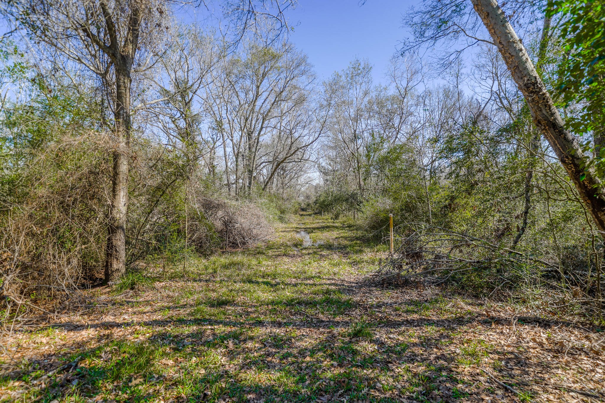 314 County Road 904 Property Photo 17