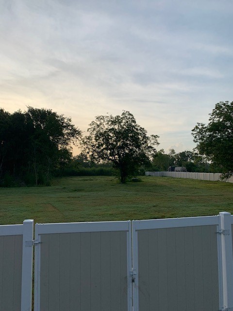 7933 Iowa Colony Blvd Property Photo 5