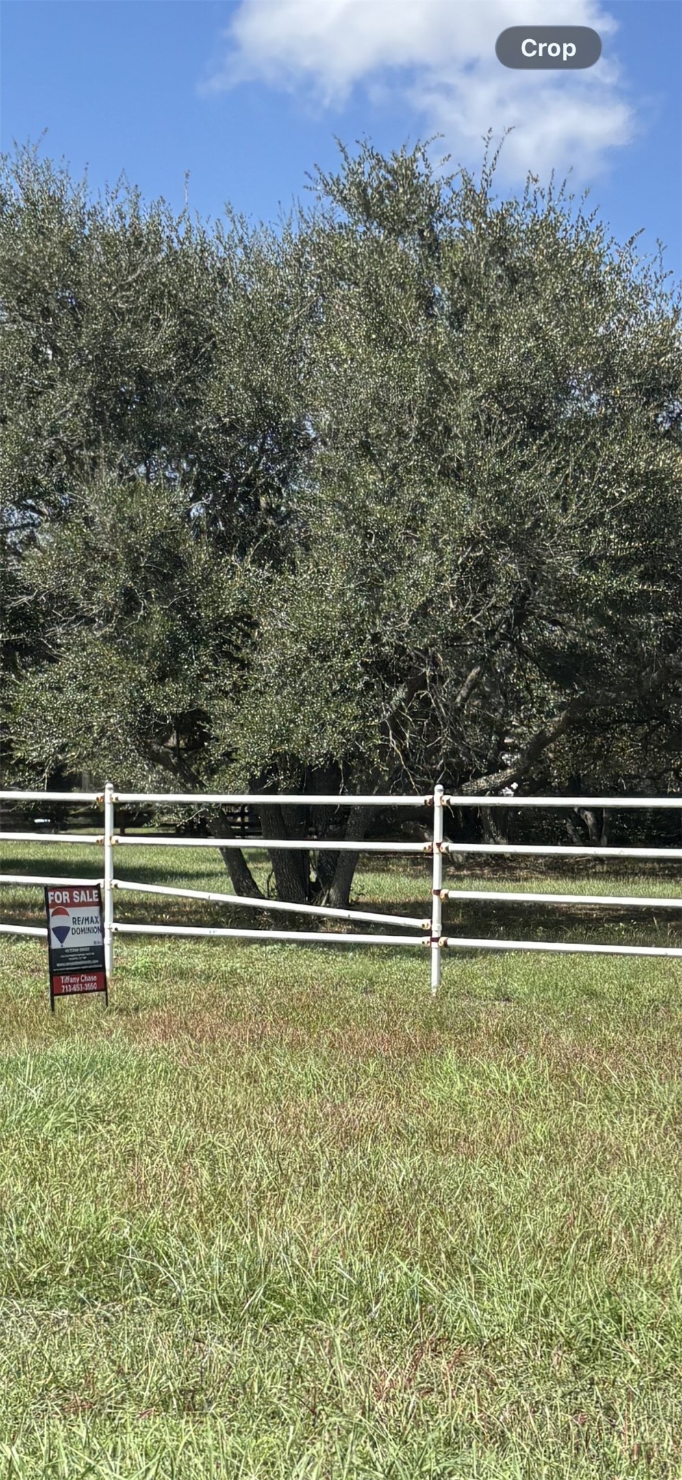 2835 Fm 2853 Property Photo 5
