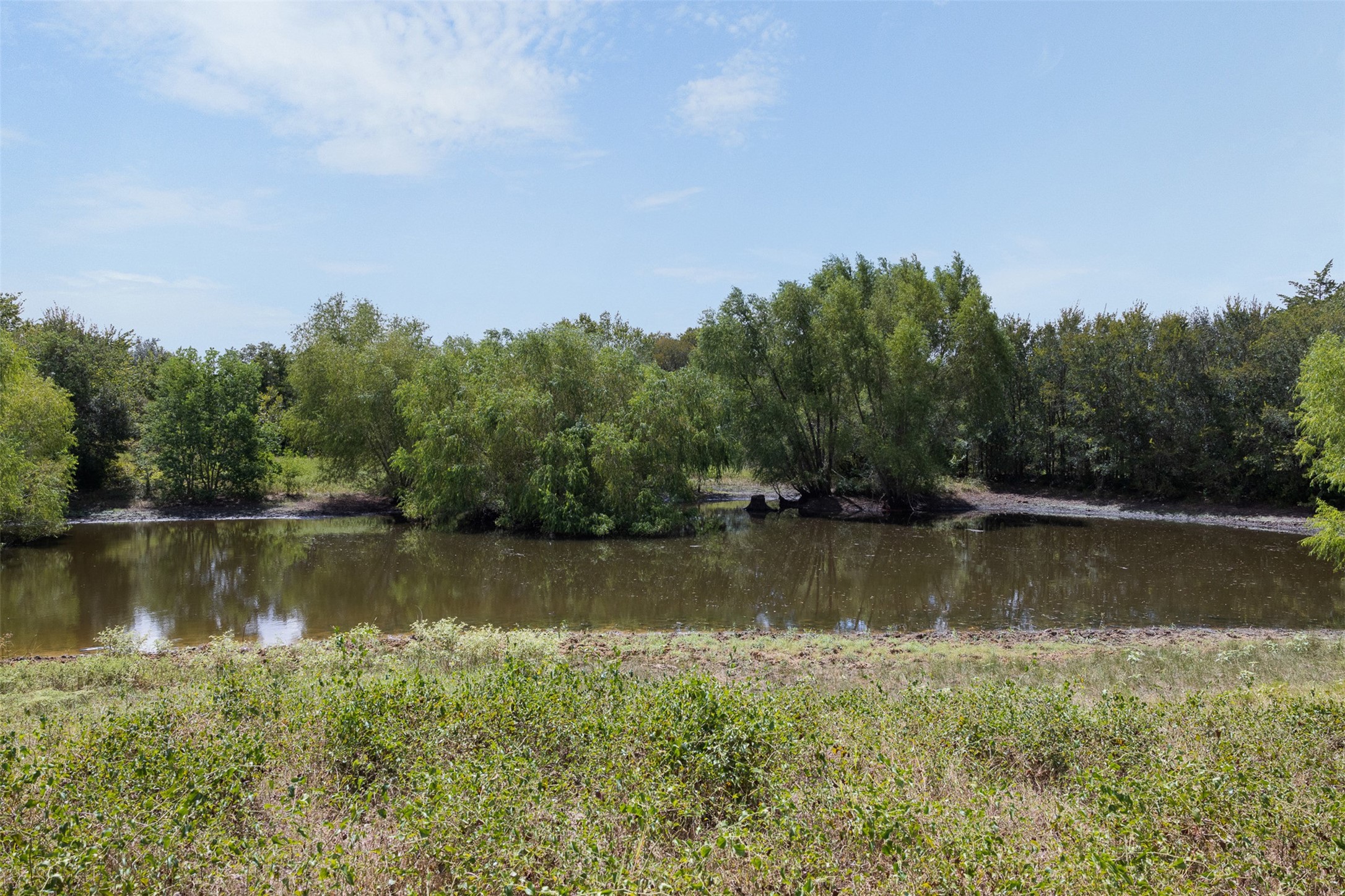 9809 Mazoch Road Property Photo 22