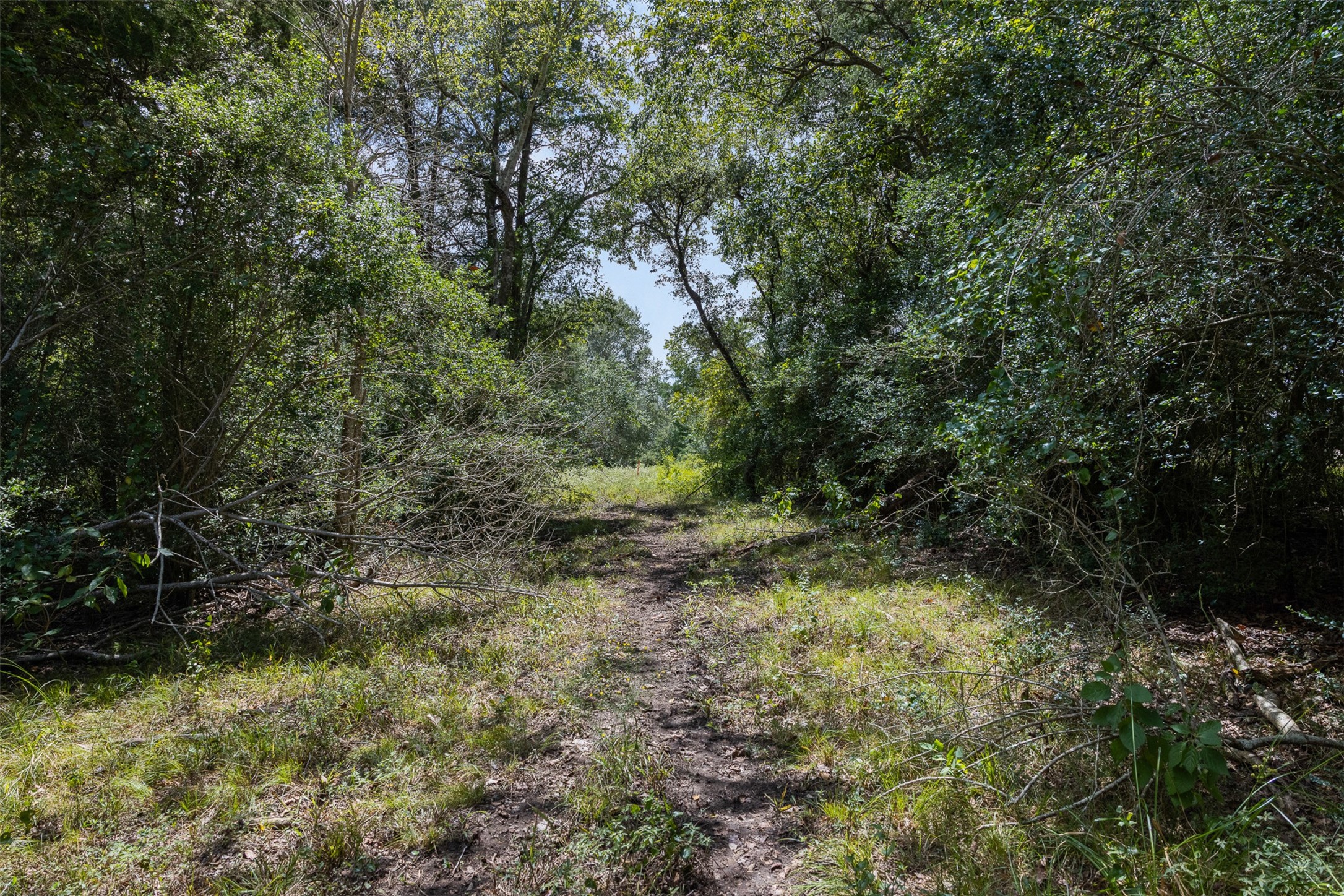 9809 Mazoch Road Property Photo 24