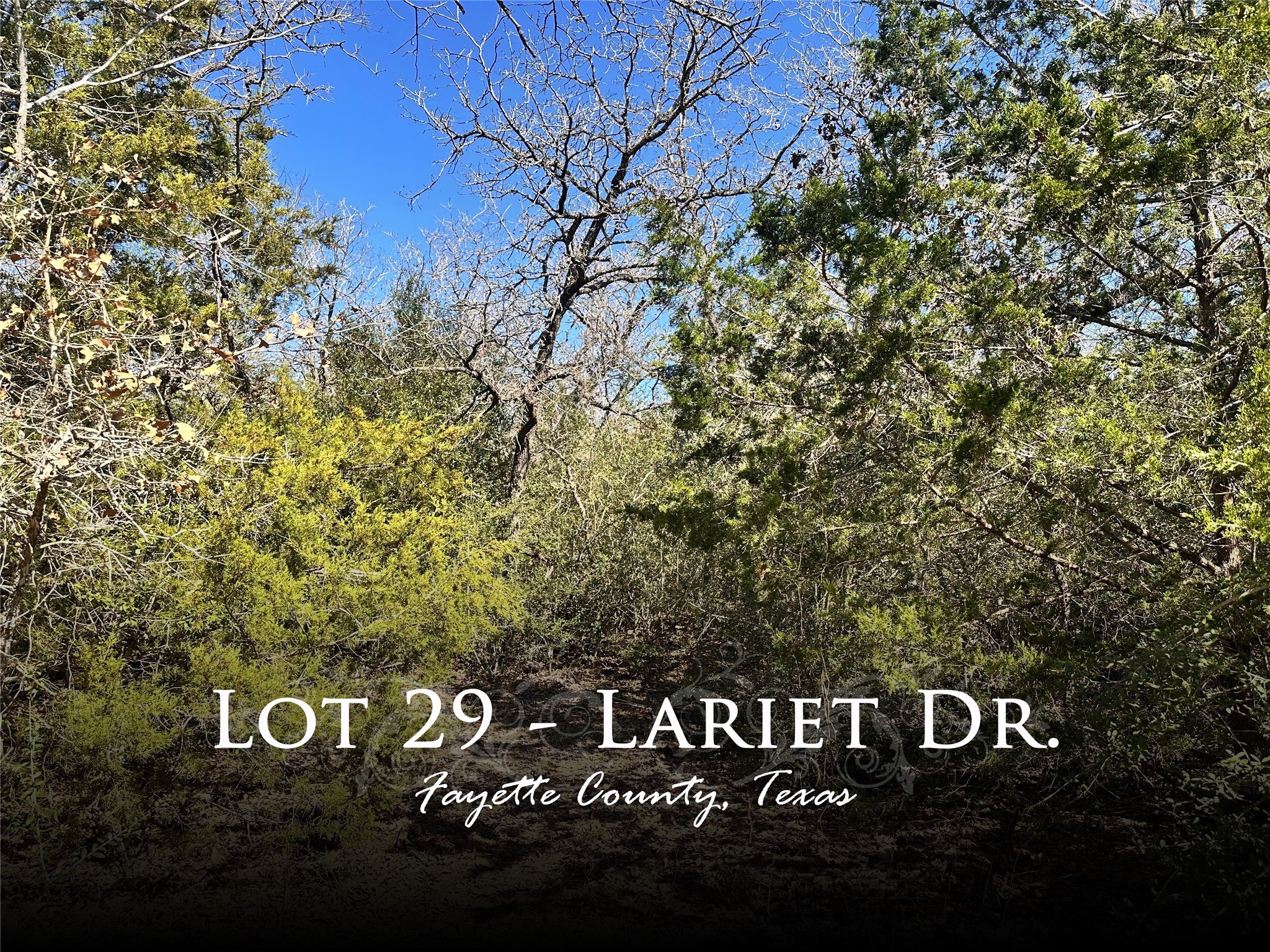 0 Lariet Drive Property Photo