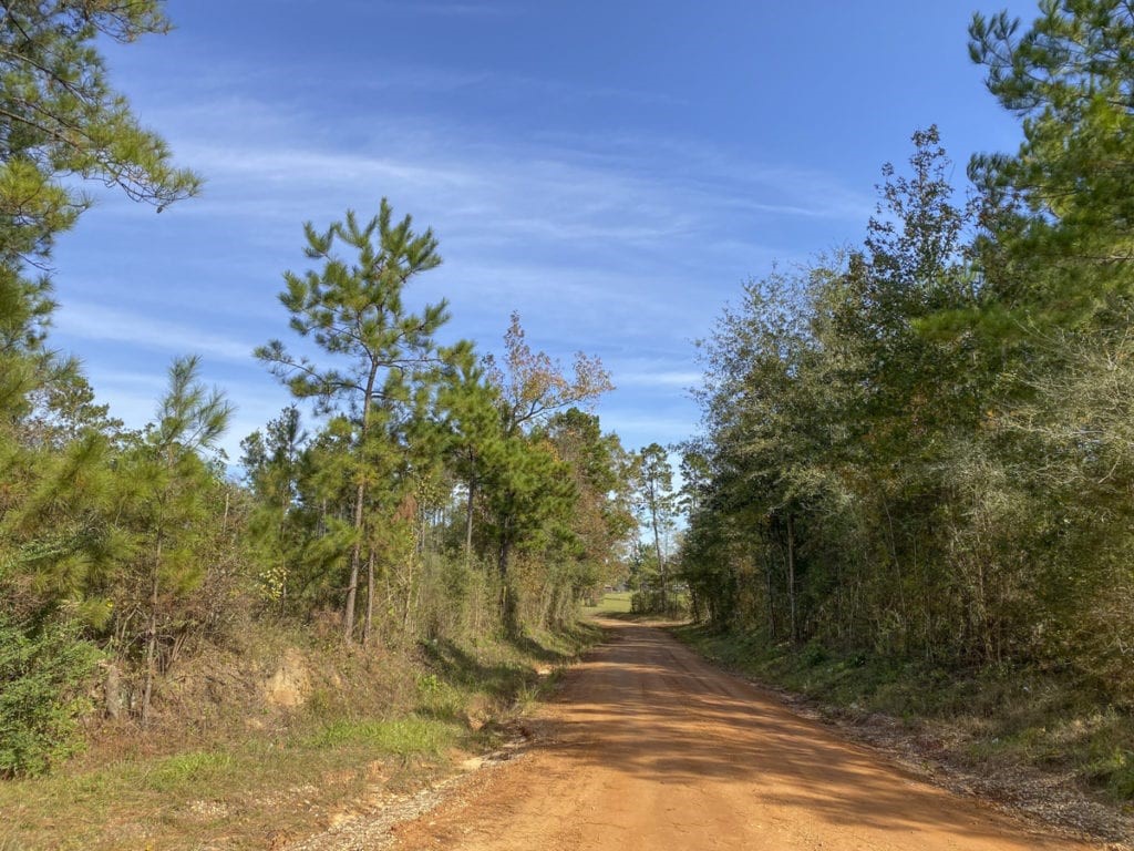 Tbd Cr 1150 Property Photo 4