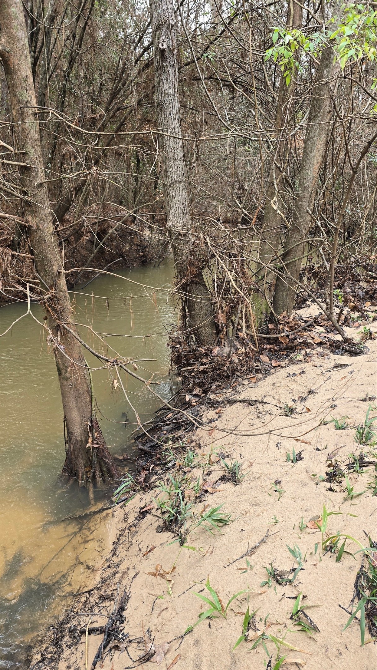 Tbd Cr 1150 Property Photo 10