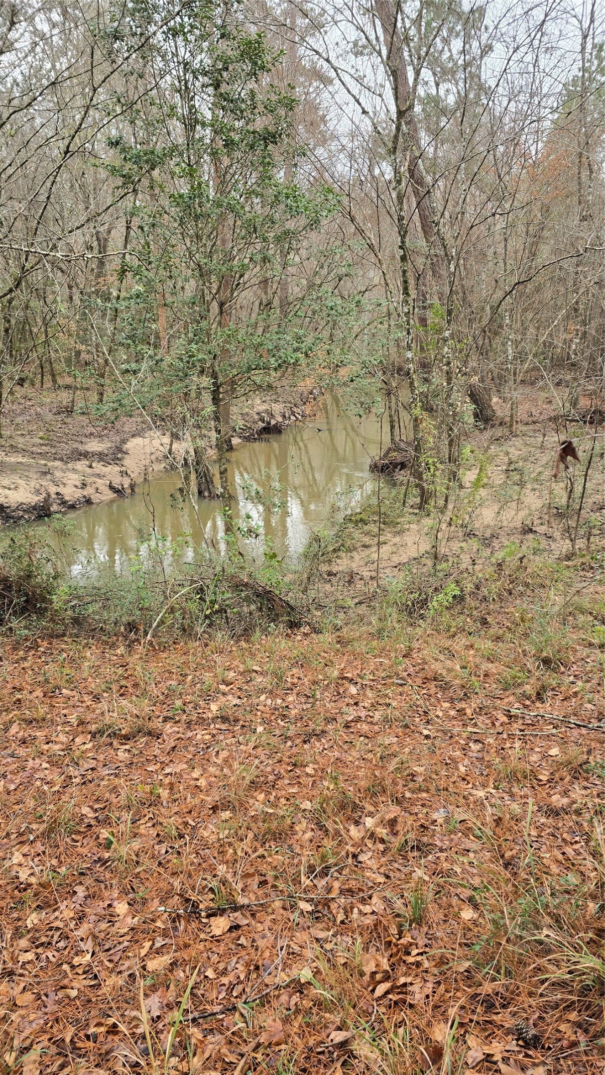 Tbd Cr 1150 Property Photo 14