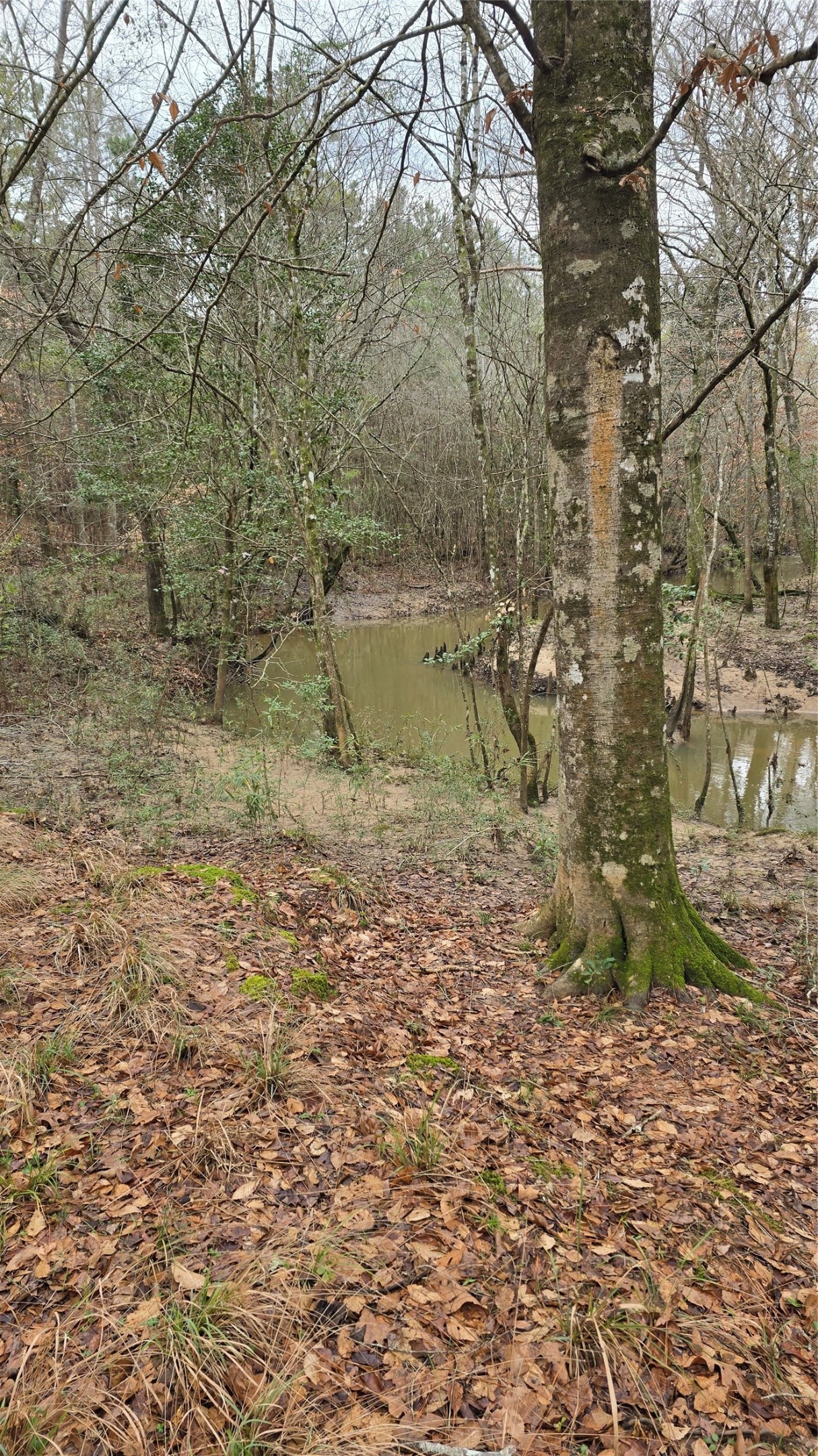 Tbd Cr 1150 Property Photo 15