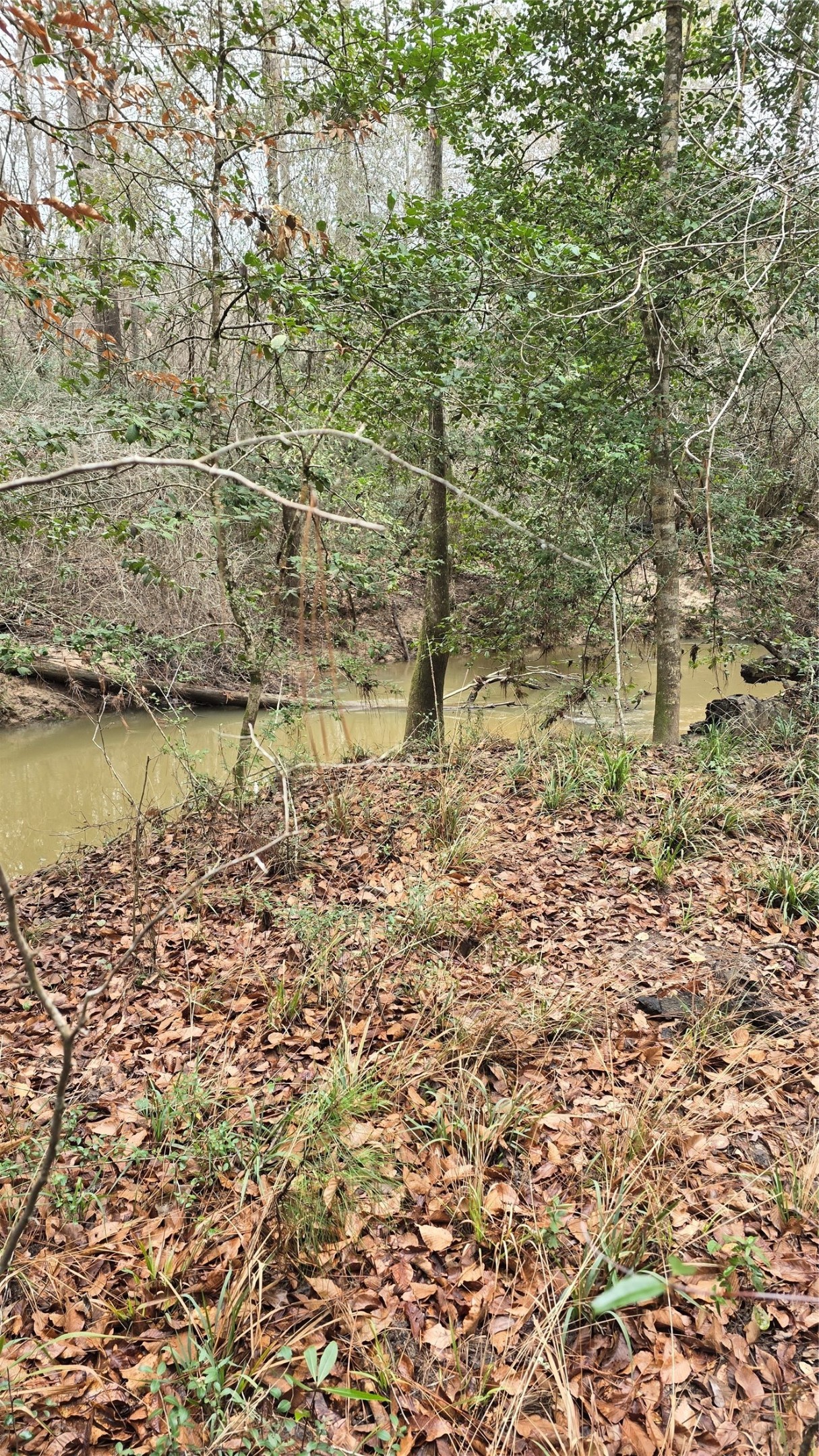 Tbd Cr 1150 Property Photo 19