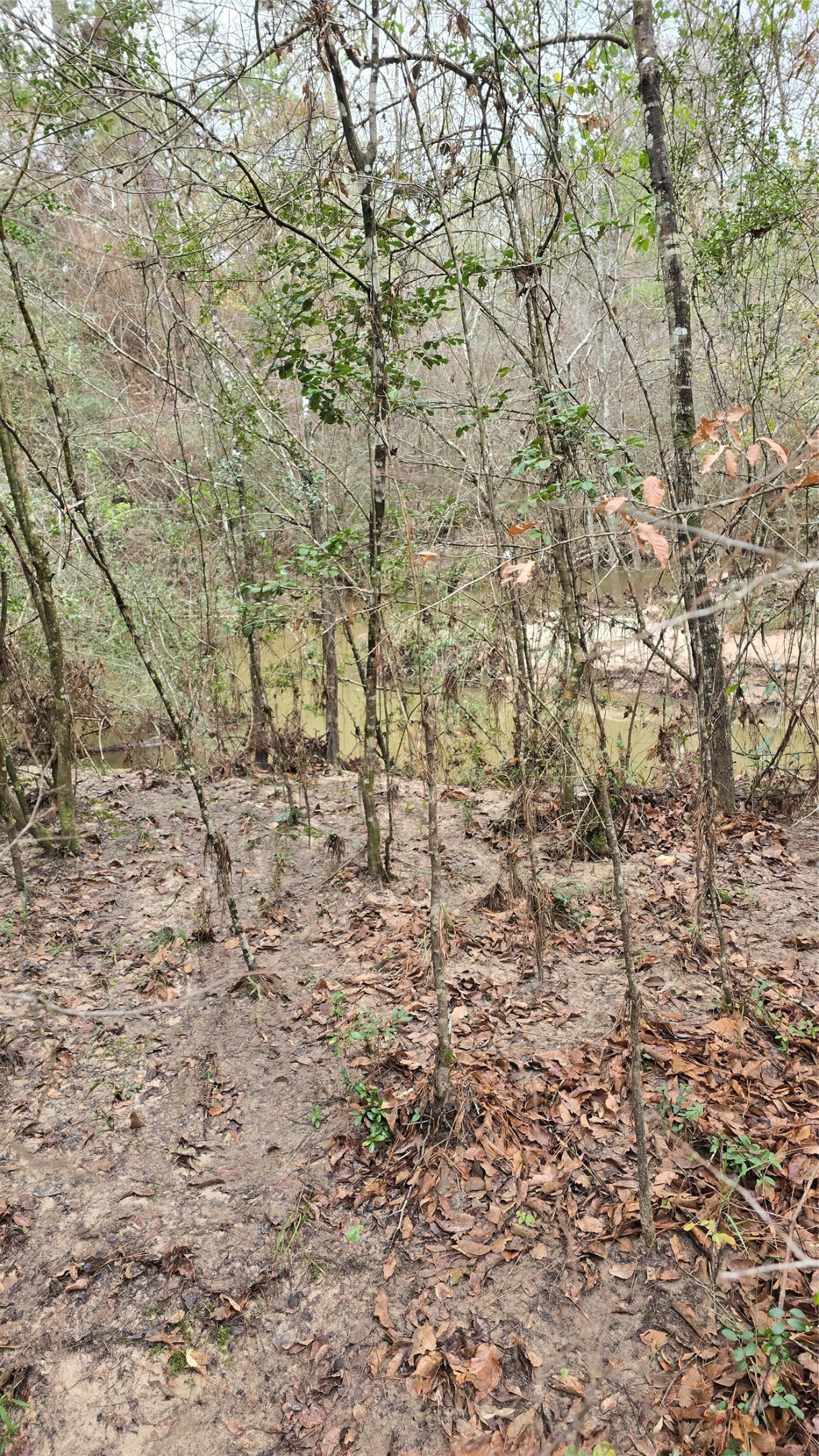 Tbd Cr 1150 Property Photo 20