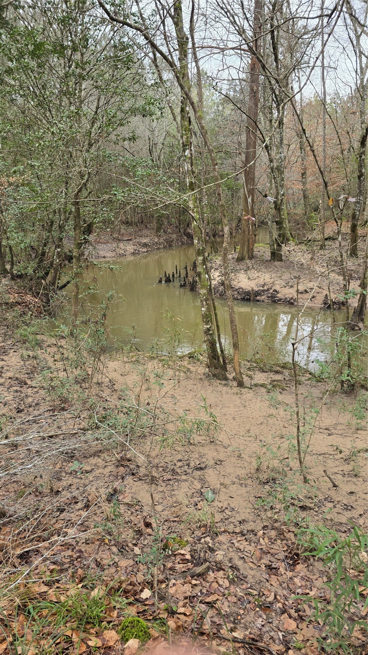 Tbd Cr 1150 Property Photo 21