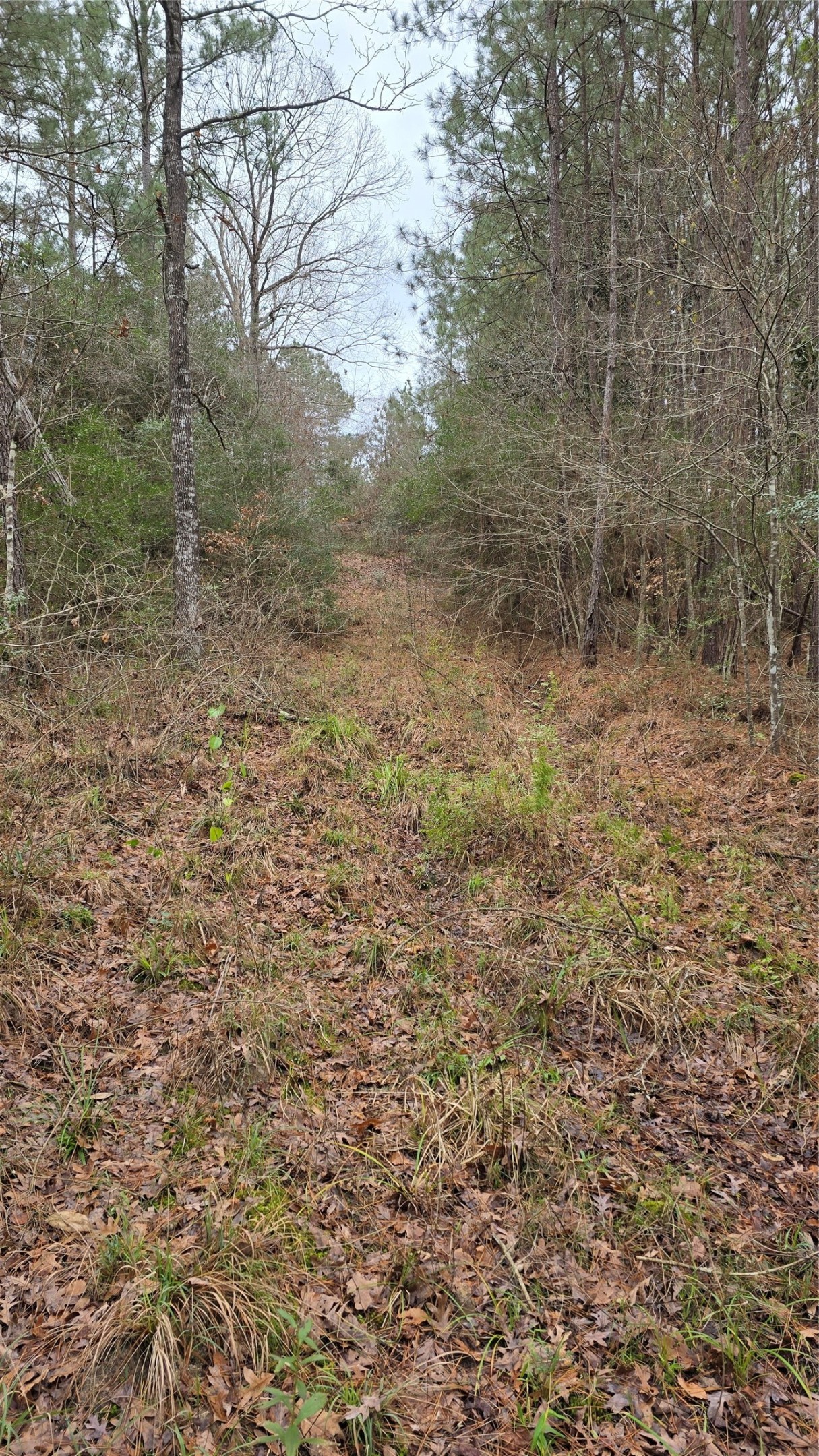 Tbd Cr 1150 Property Photo 27
