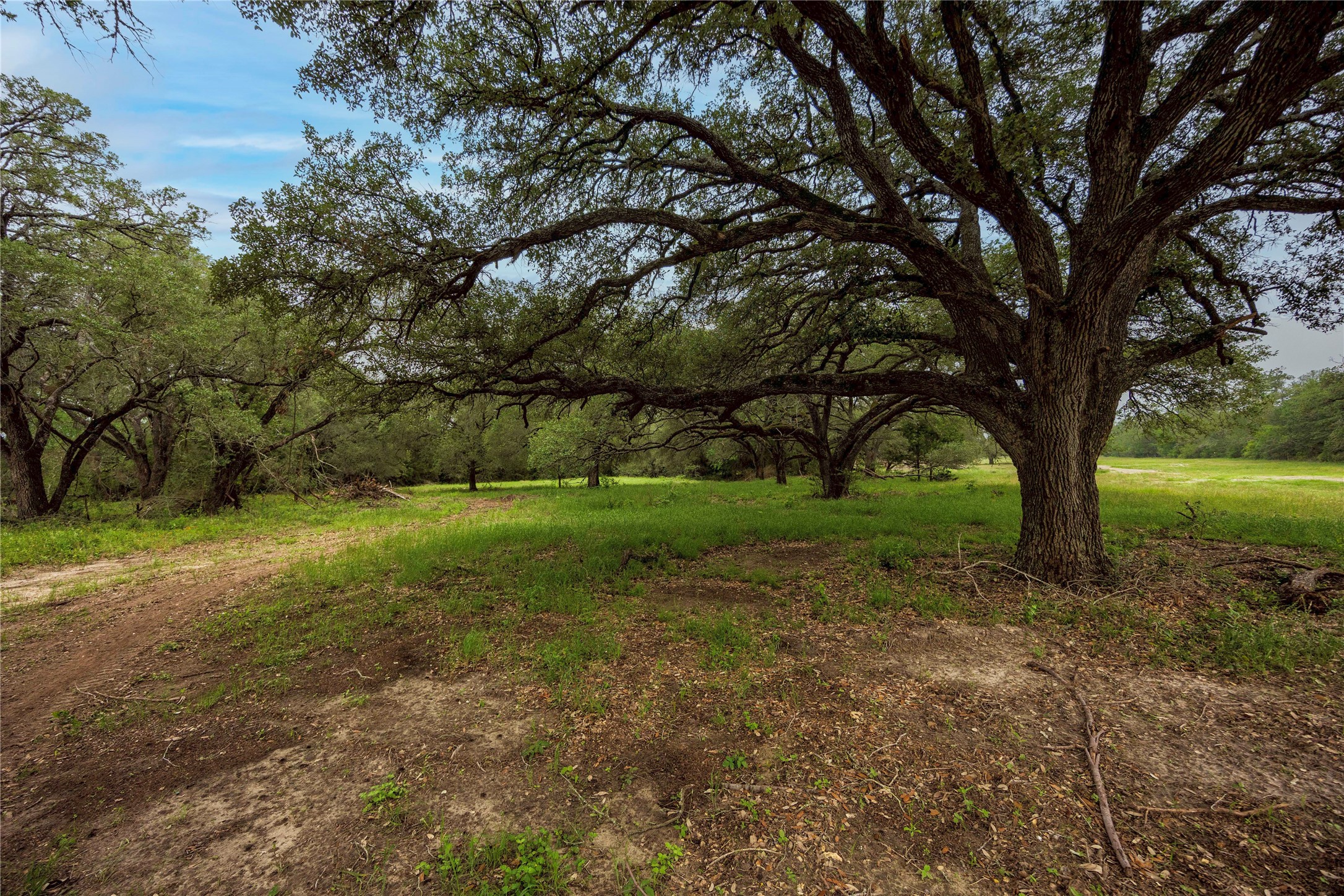 2570 Burke Road Property Photo 6